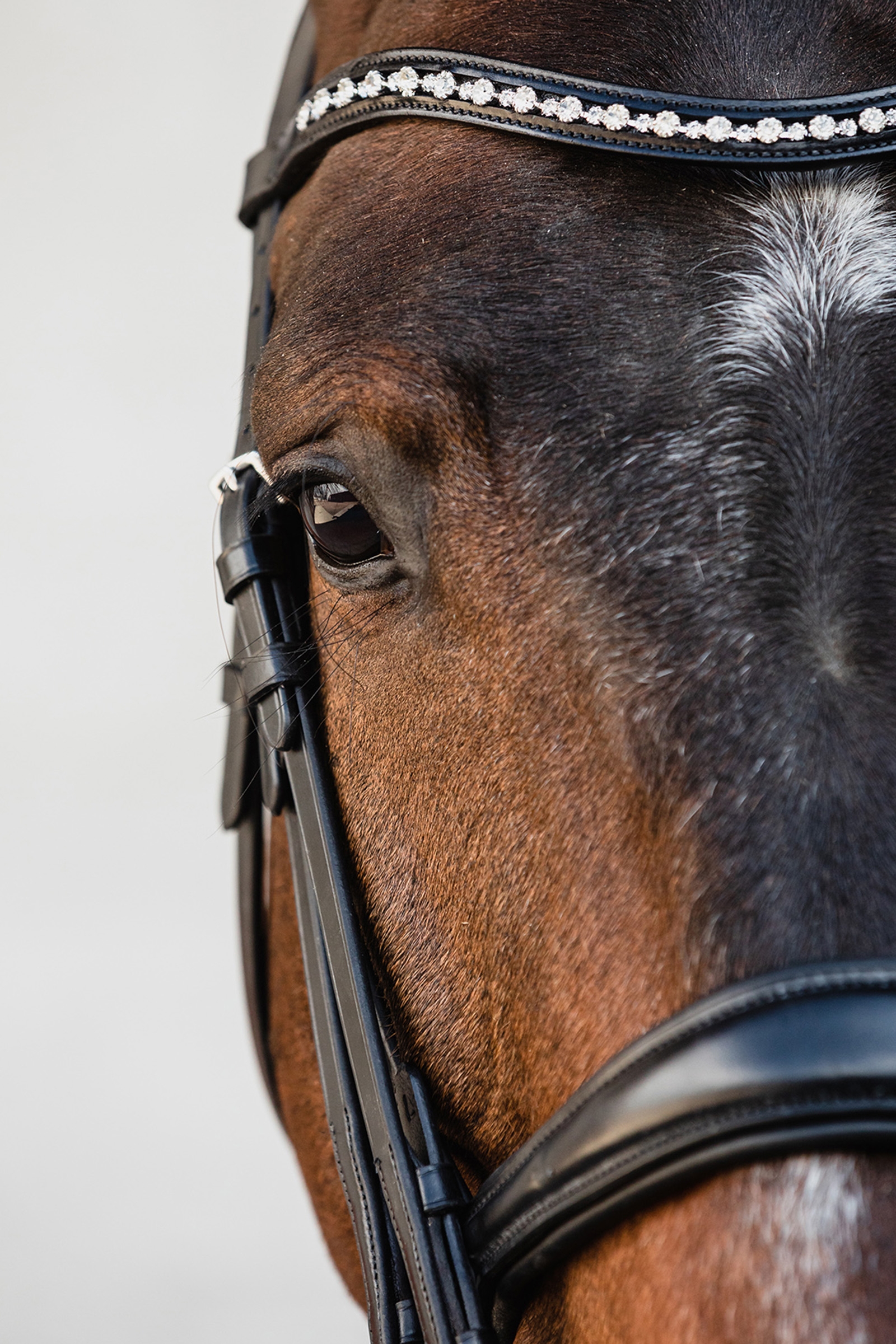 Schockemöhle Sports Milton Anatomic  Double Bridle