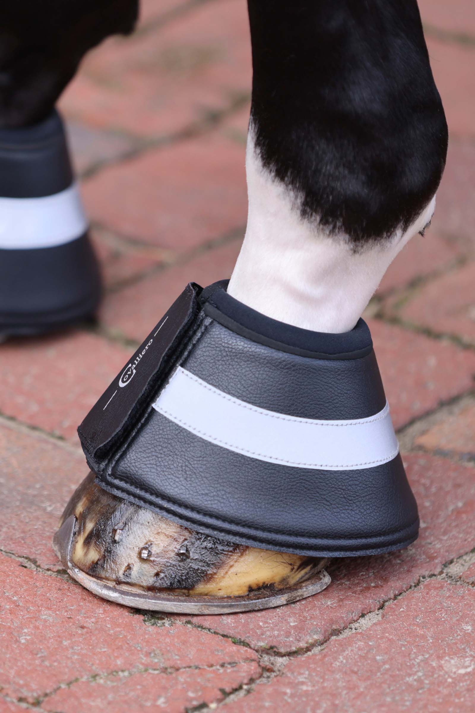 Covalliero Hoefschoenen Reflective