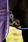 LeMieux Arika Ripstop Turnout Rug With Detachable Neck, 200 g