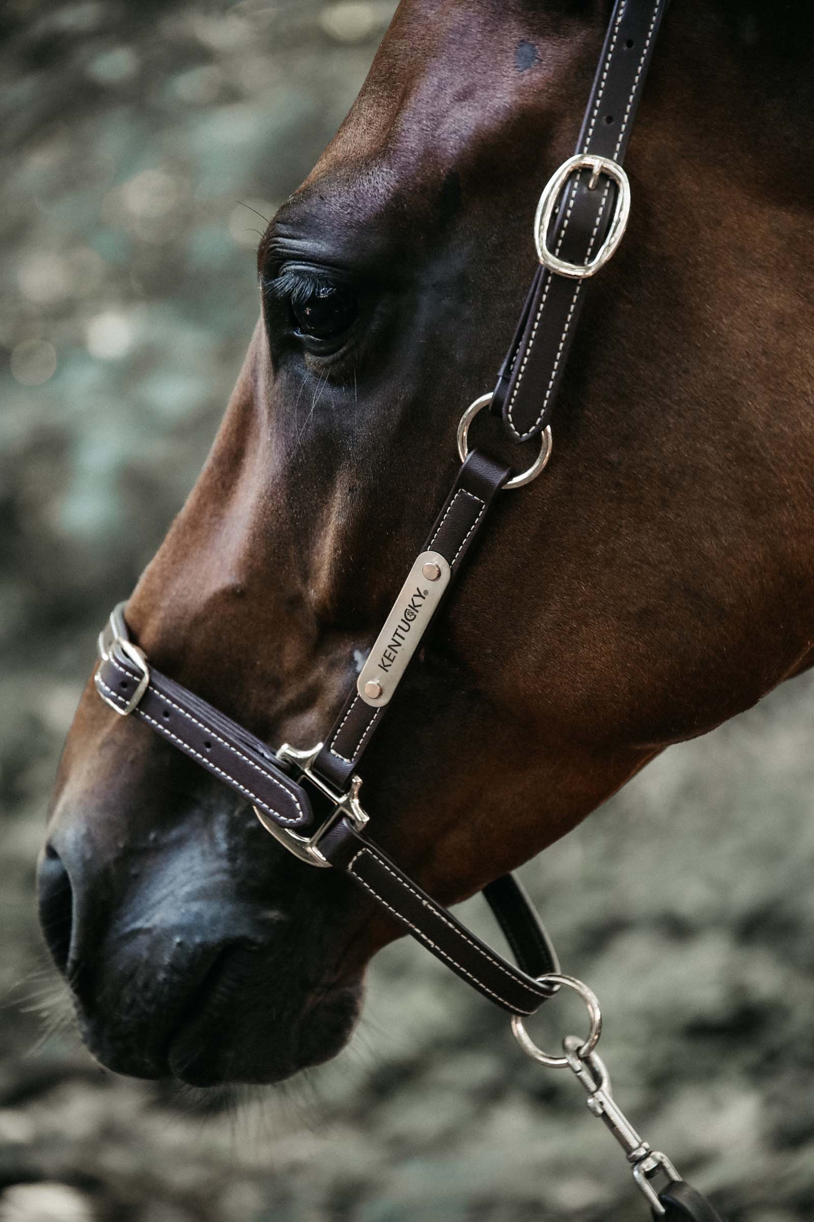 Kentucky Horsewear Leather Halter Flexible kopstuk