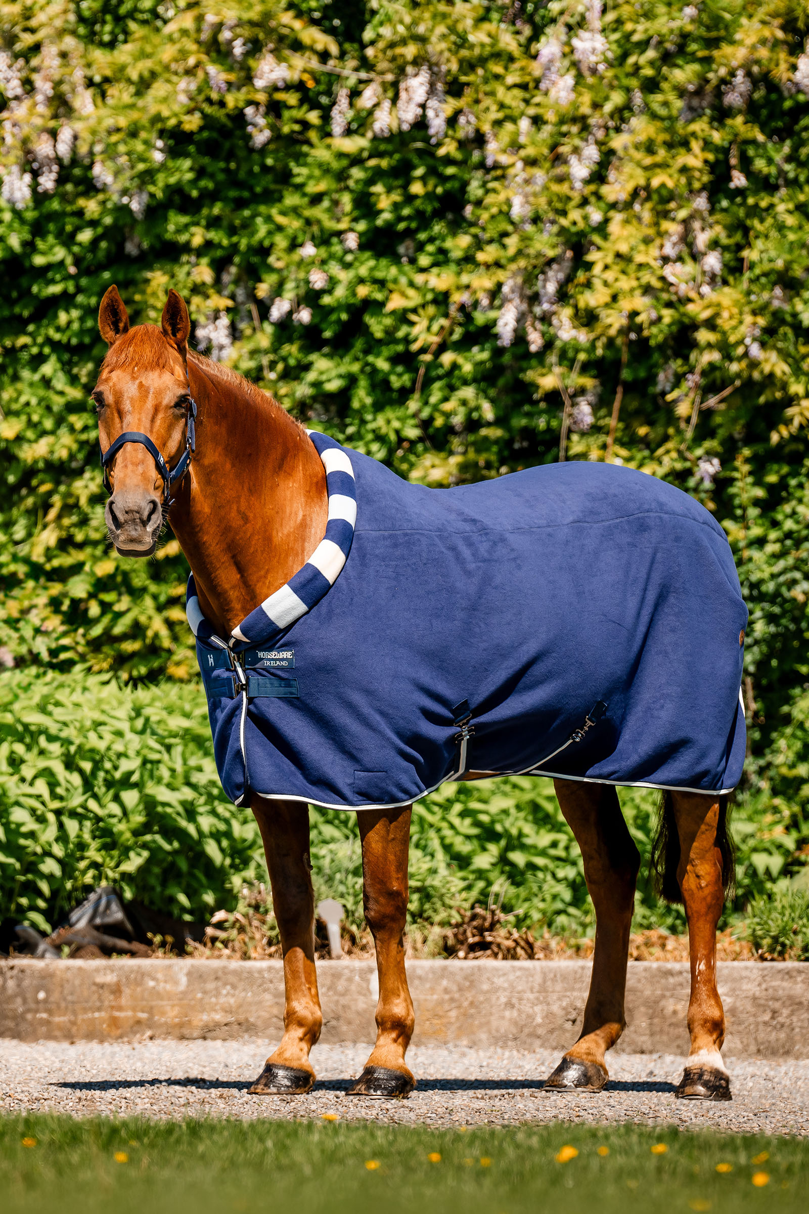 Horseware Newmarket Cosy Fleece Cooler deken