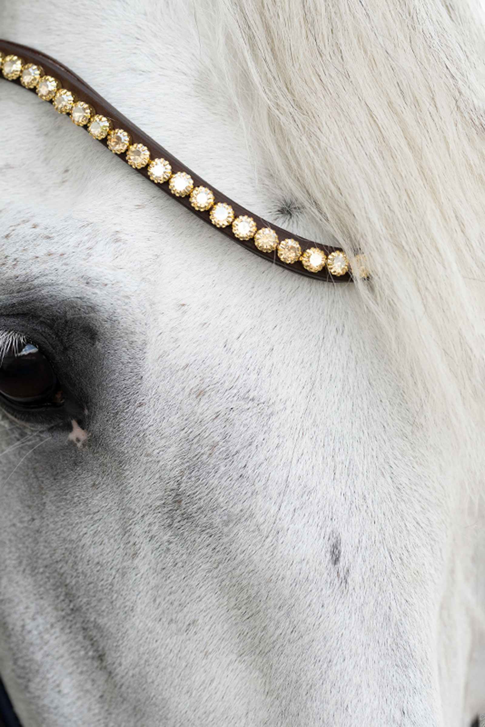 Kavalkade Caliano Engelse Trens