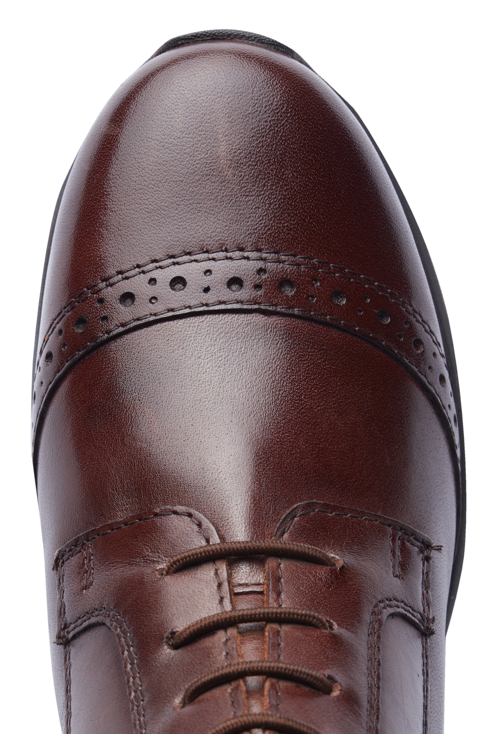 Horze Wicklow jodhpurs