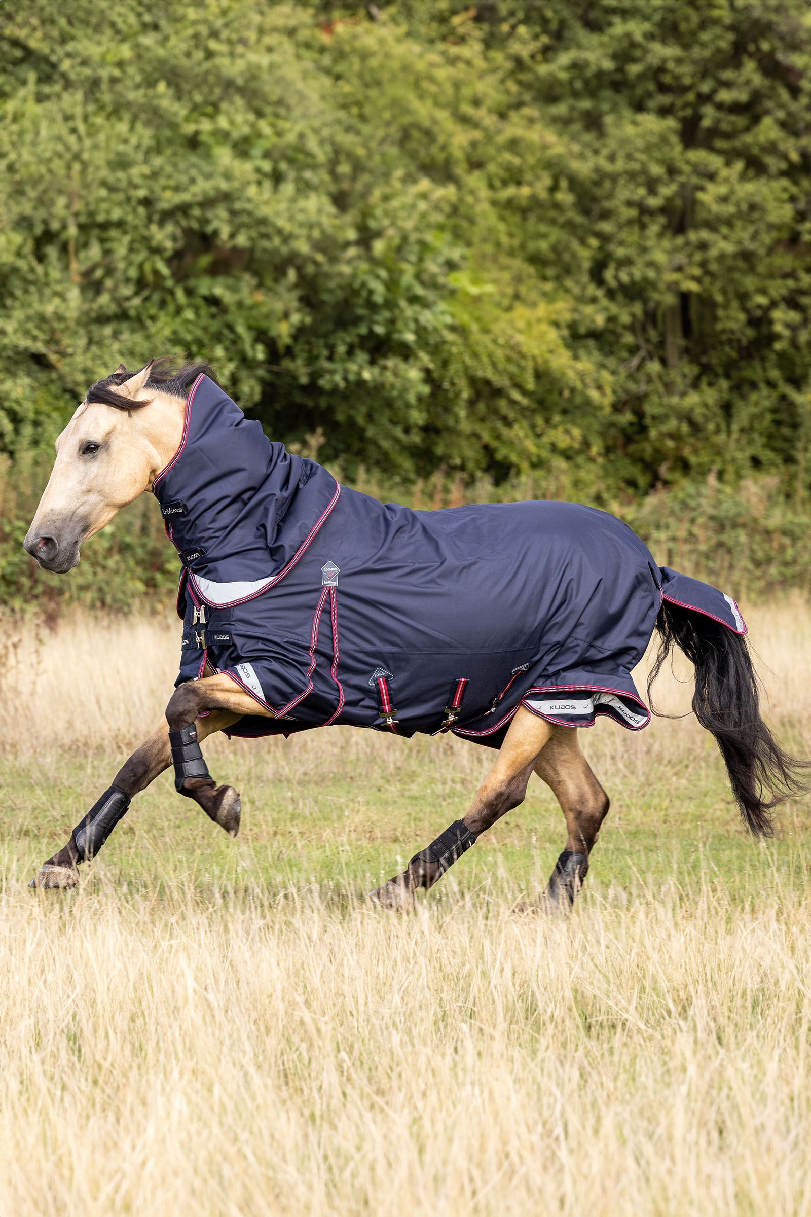 LeMieux Kudos lichte regendeken, 100 g