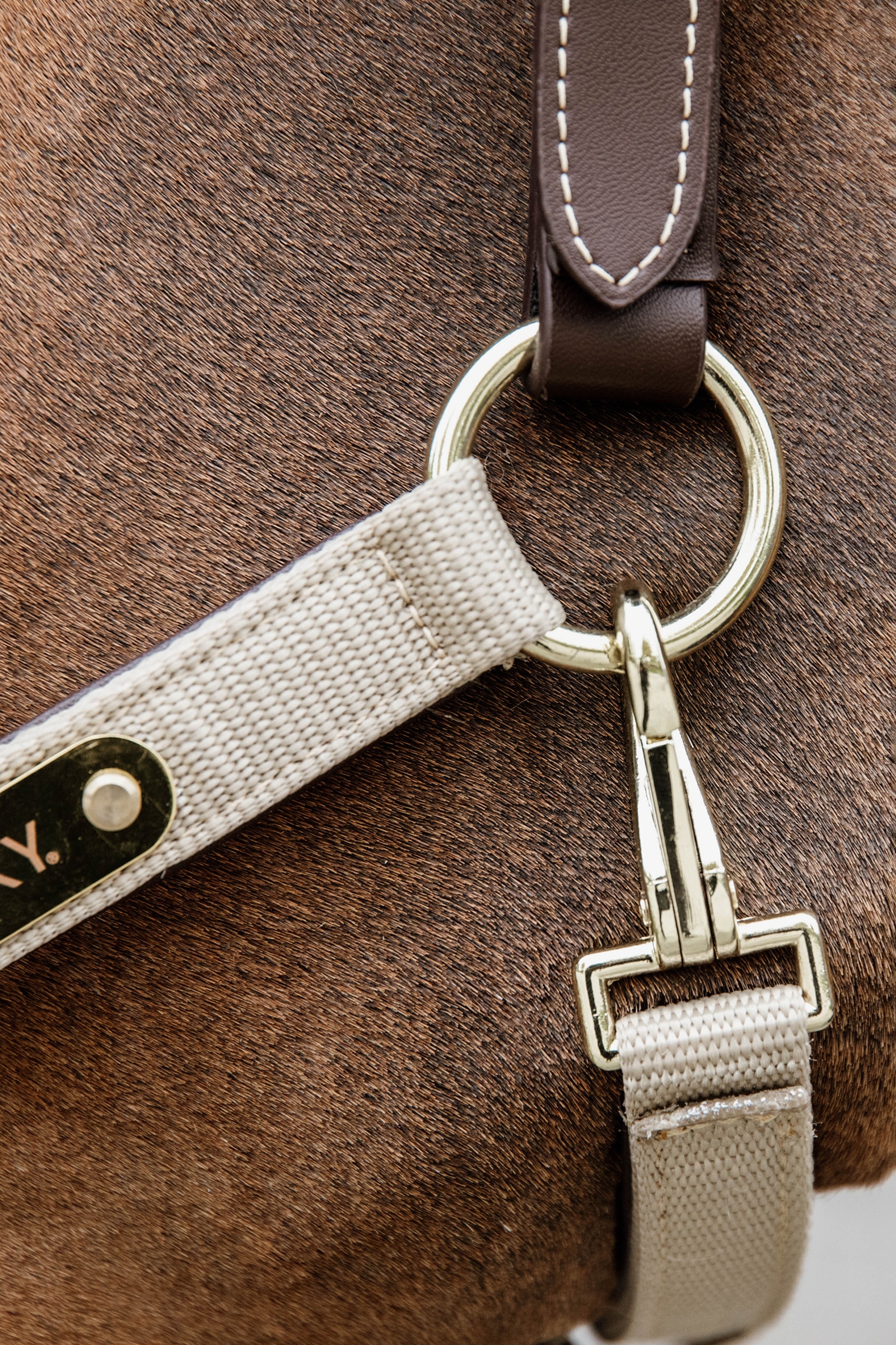 Kentucky Horsewear  Nylon Anatomisch Halster