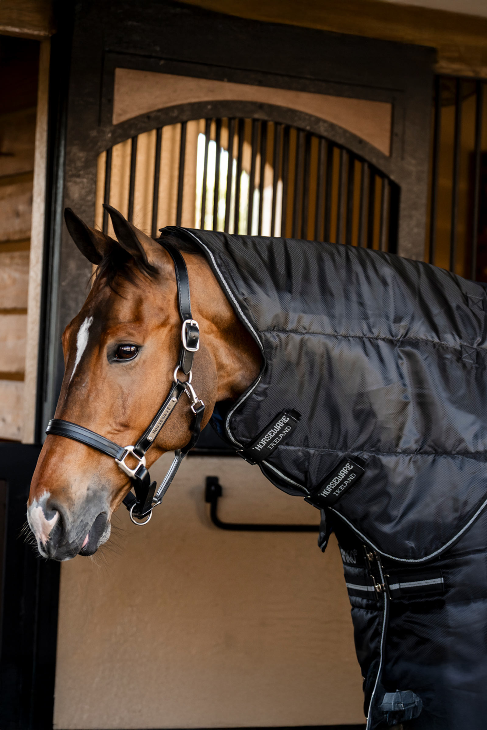 Horseware Amigo Ripstop Insulator Plus staldeken, 350 g