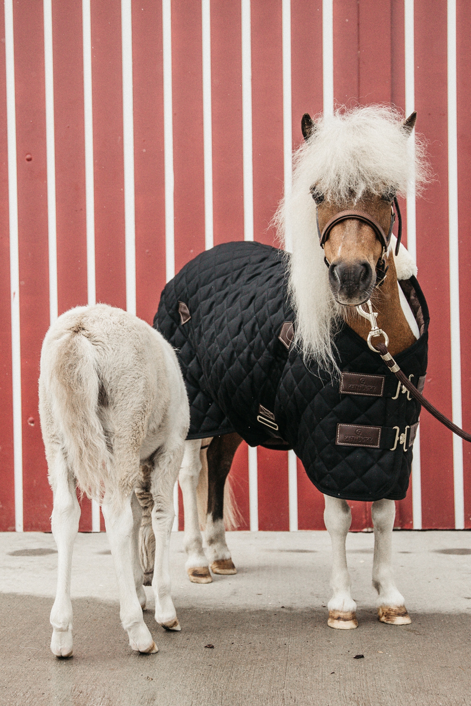 Kentucky Horsewear Staldeken 400g