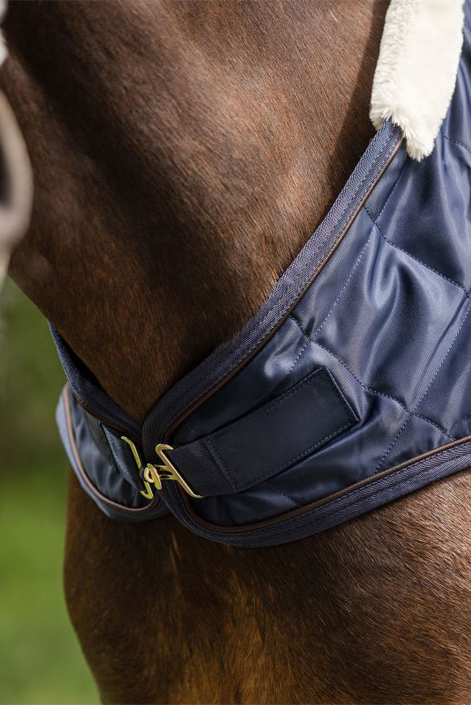 Waldhausen F&uuml;hrmaschinendecke Exclusive, 50 g