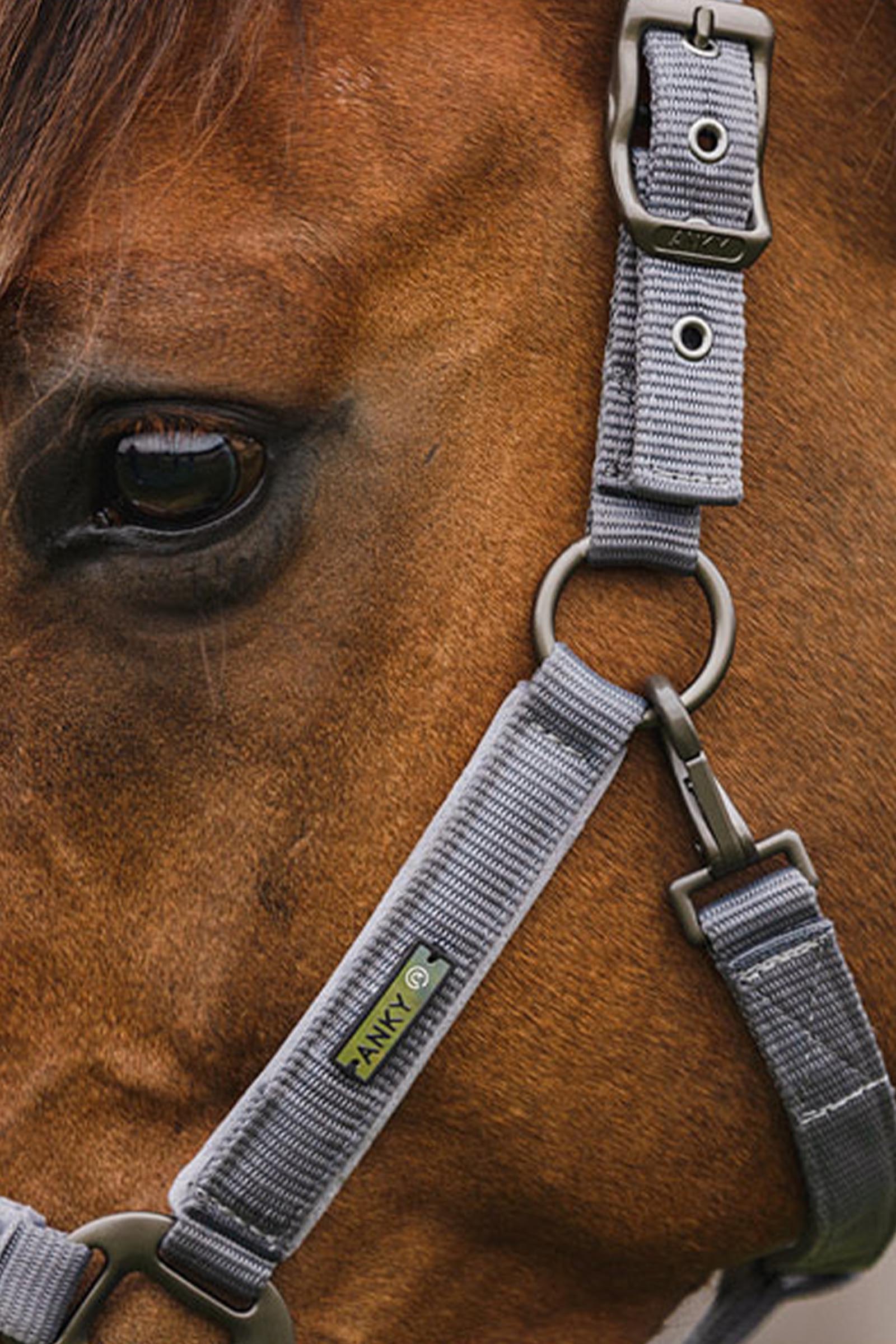 ANKY Stones Halster en Touw Set