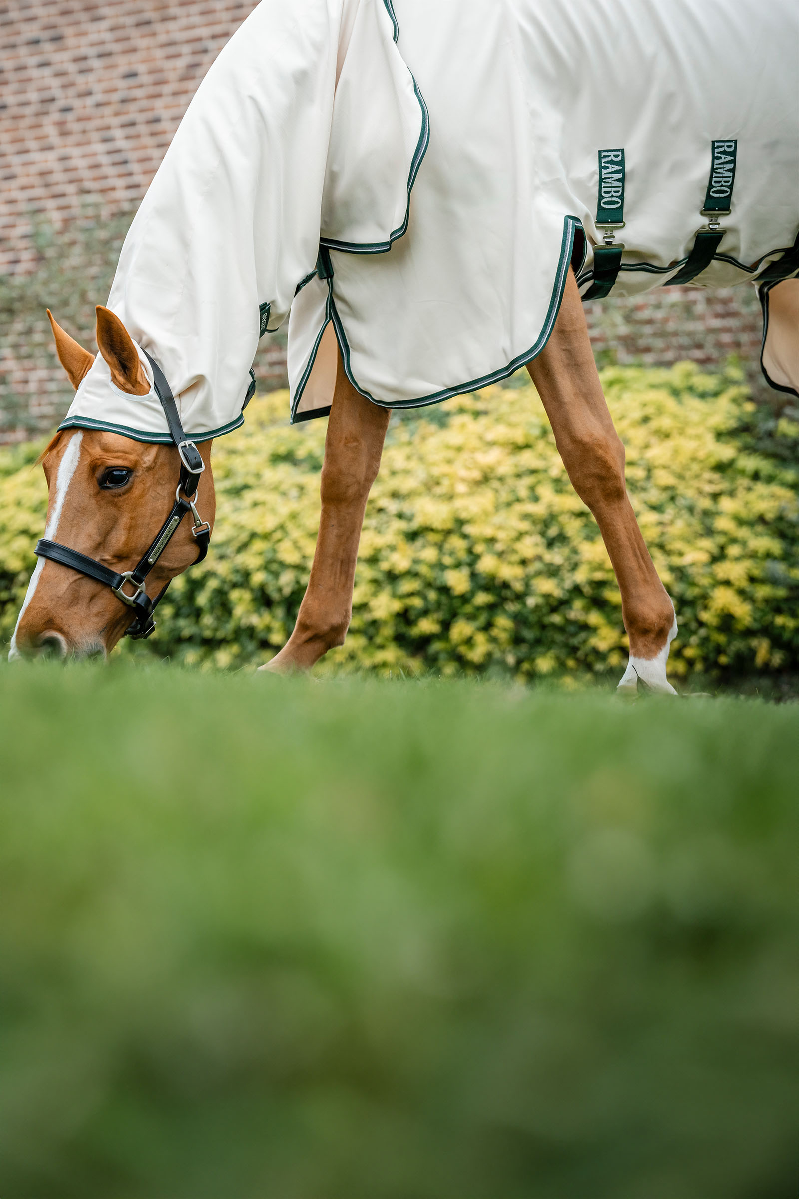 Horseware Rambo eczeemdeken