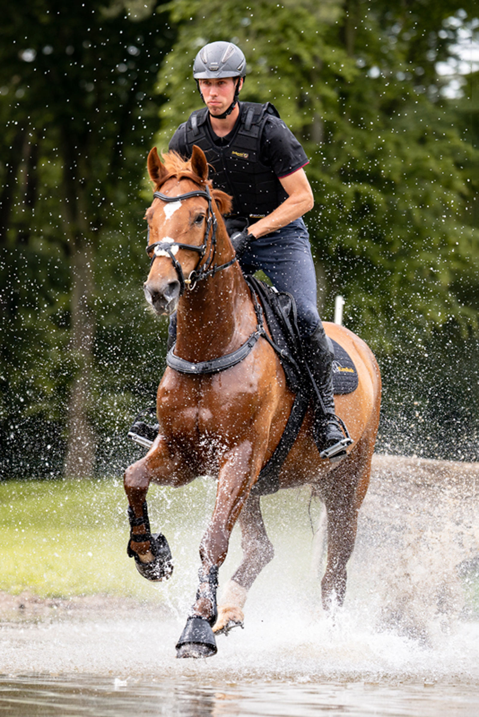 Kavalkade Jerome 2-Punts Borstplaat