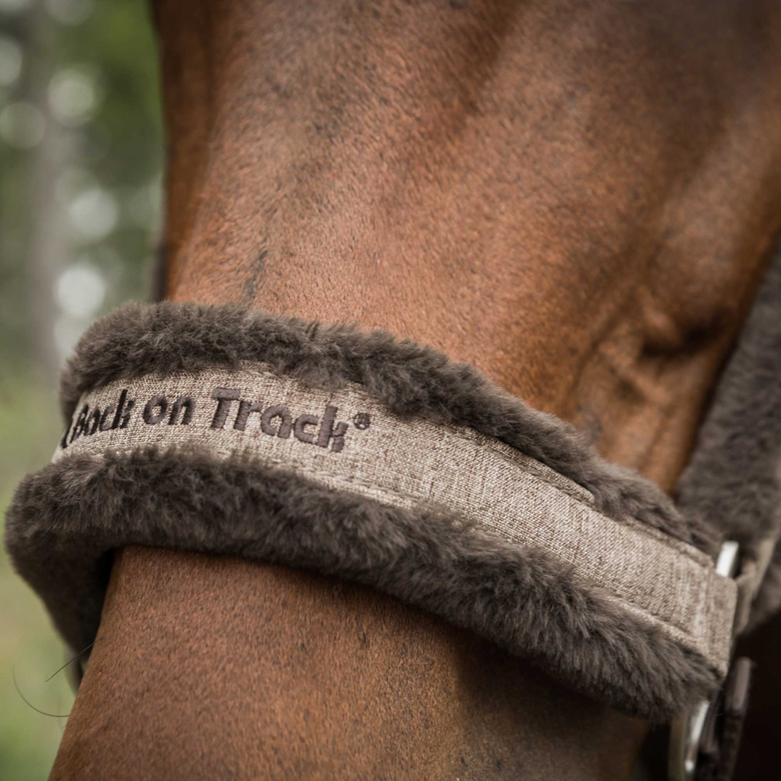 Back on Track Haze Collection Halster