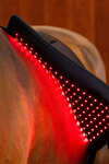 Horseware LED roodlichttherapie Pad