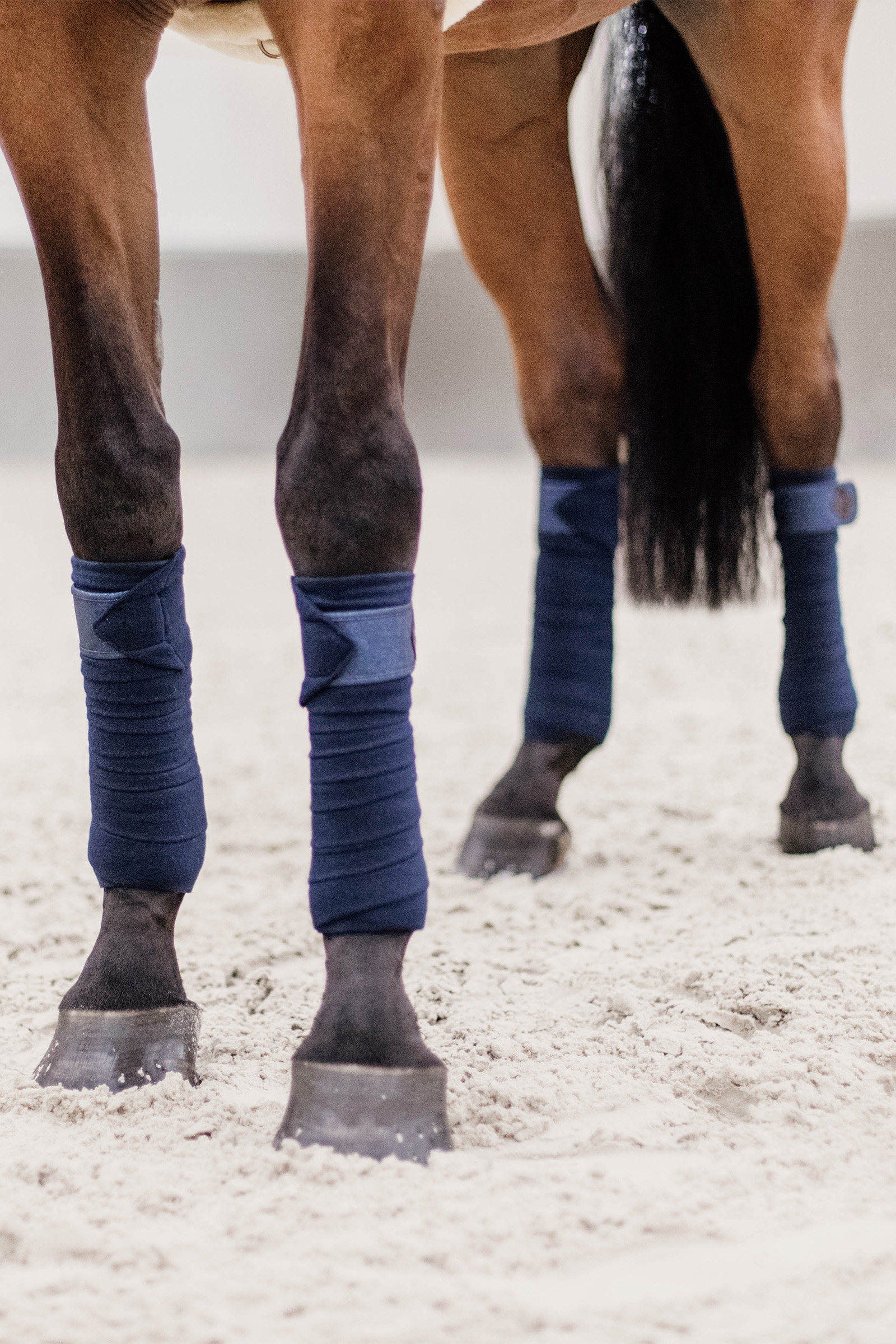 Kentucky Horsewear Glitter Polar Fleece Bandages