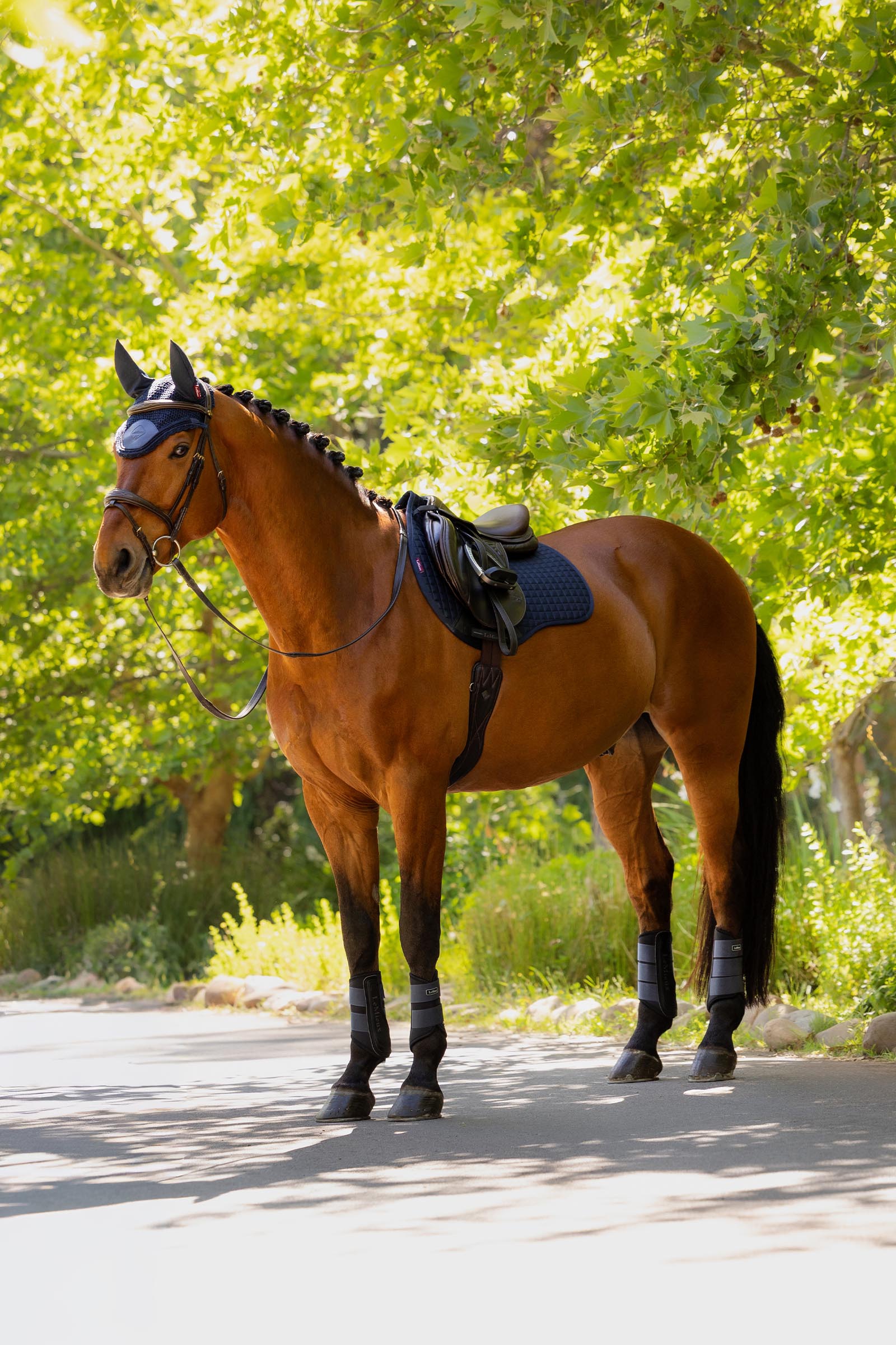 LeMieux Cotton veelzijdigheidsschabrak