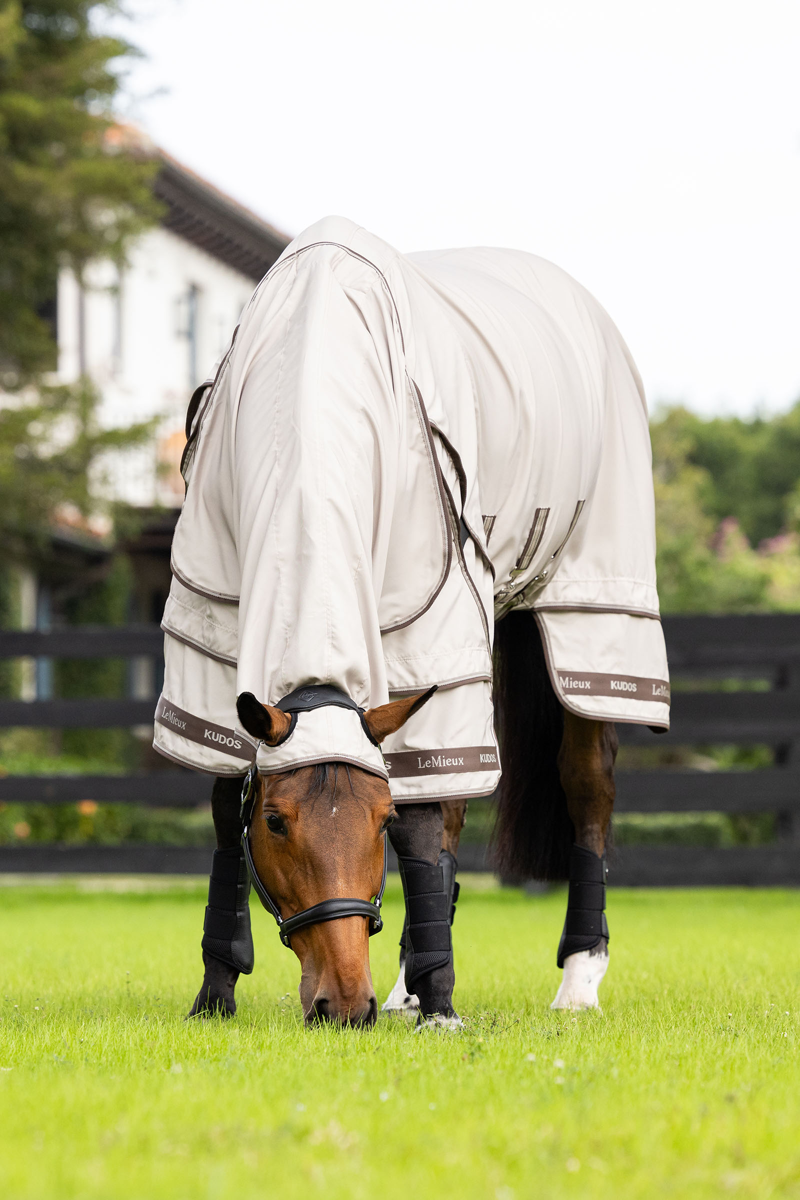 LeMieux Kudos eczeemdeken