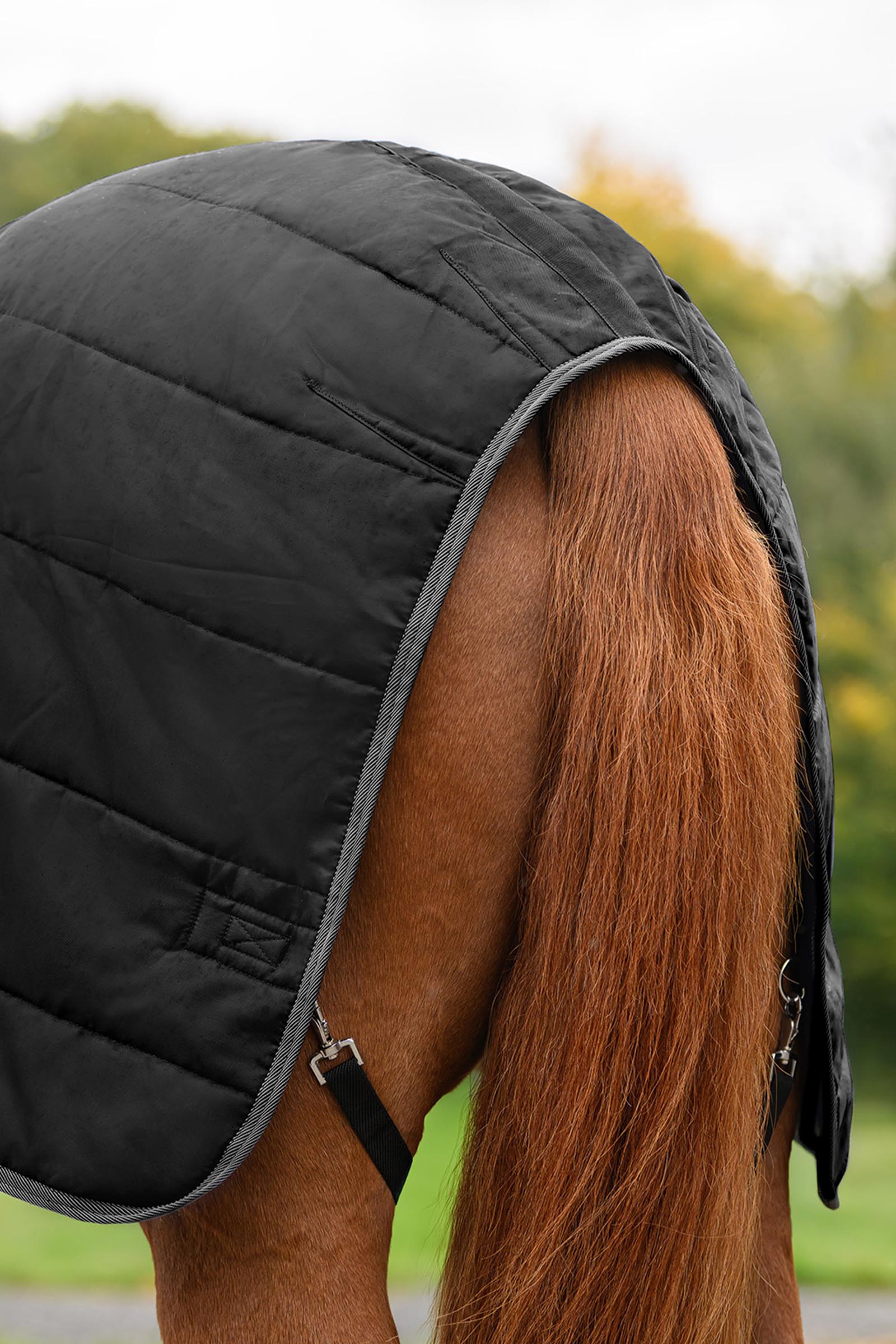 Waldhausen ECONOMIC staldeken, 100g