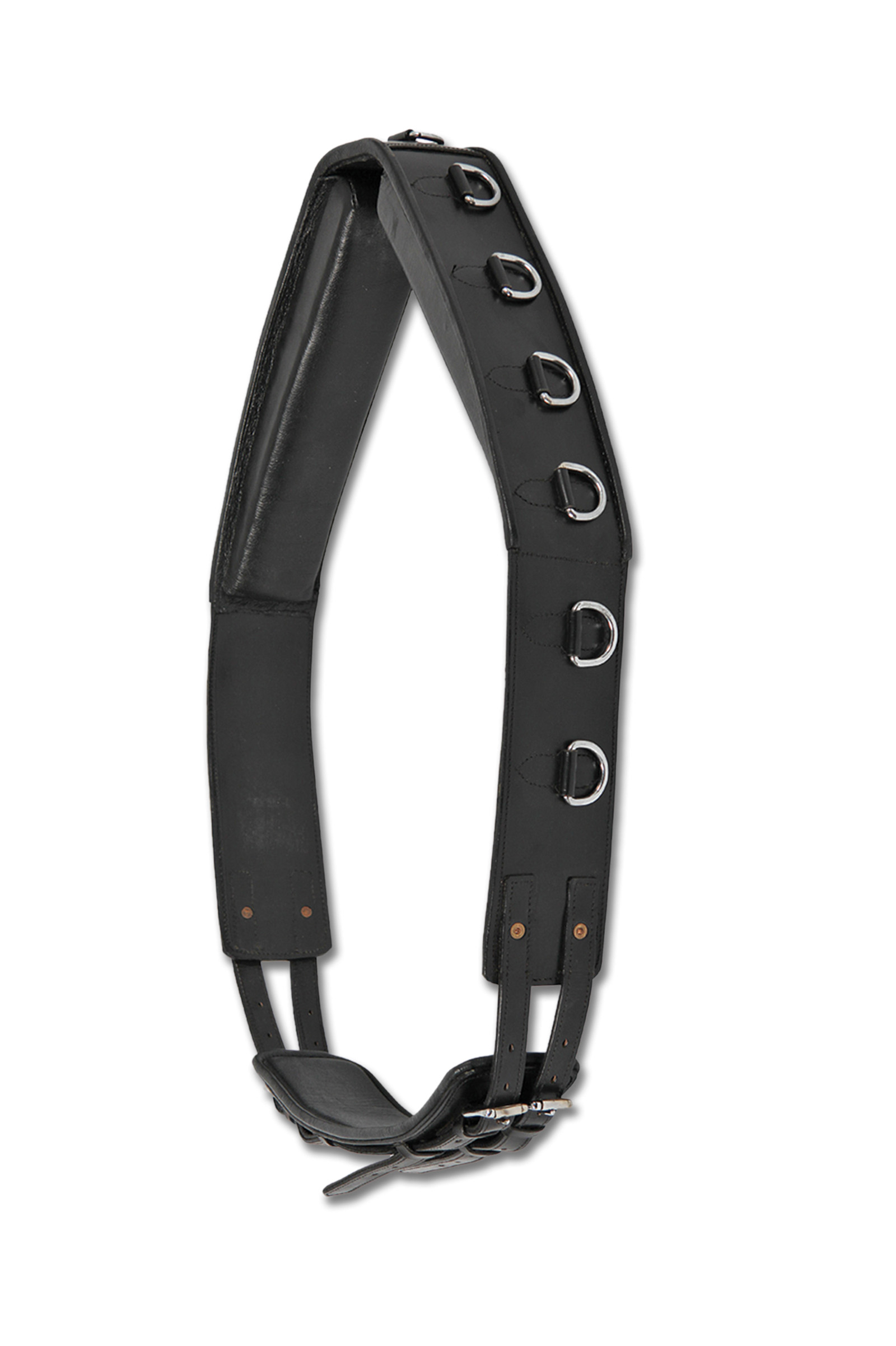 Waldhausen Lunging Surcingle, Leather