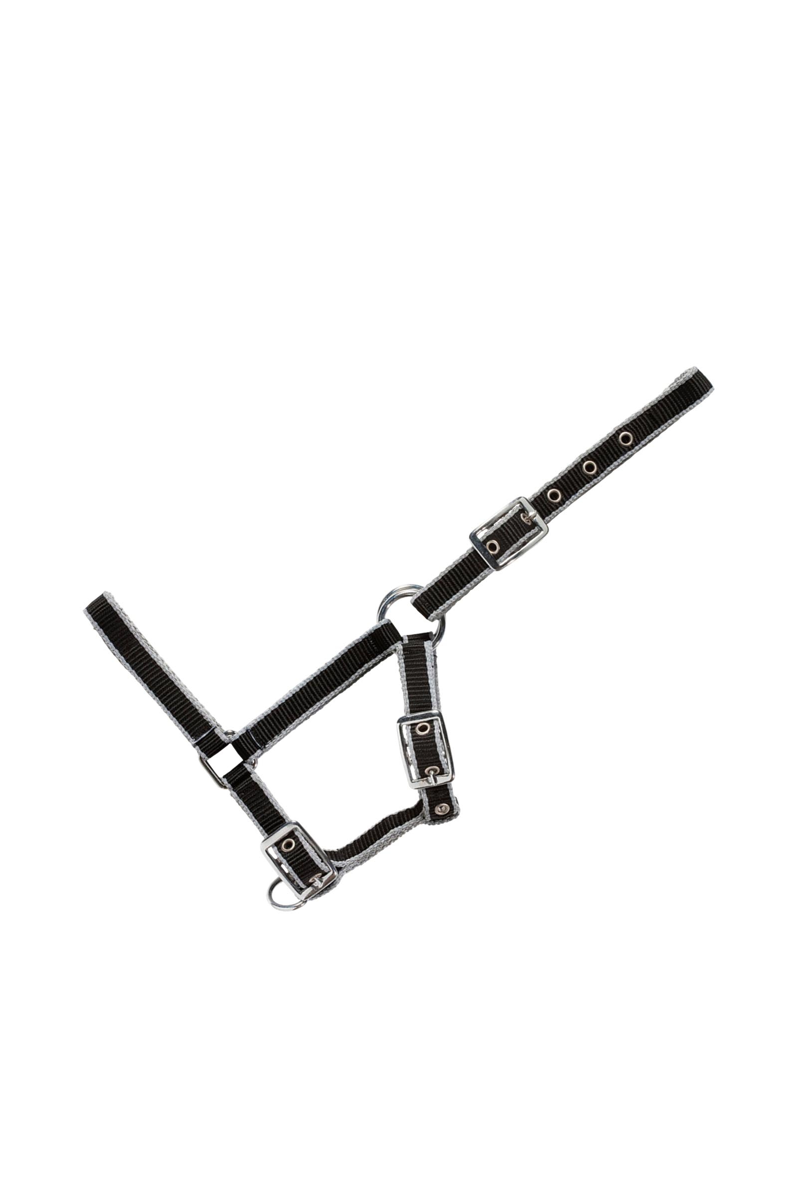 Black/Grey USG verstelbaar veulenhalster