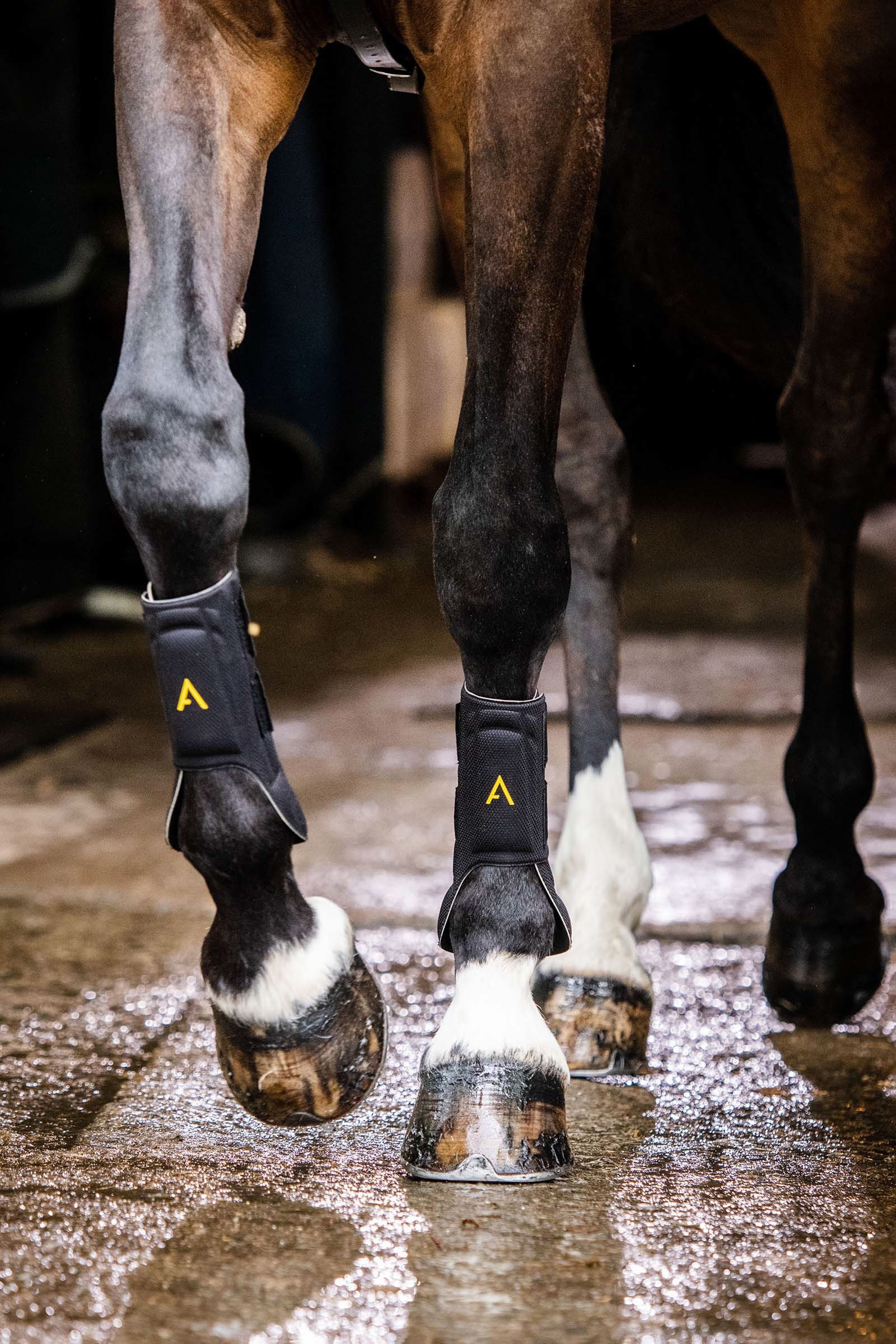 Horseware Adagio beenbeschermer
