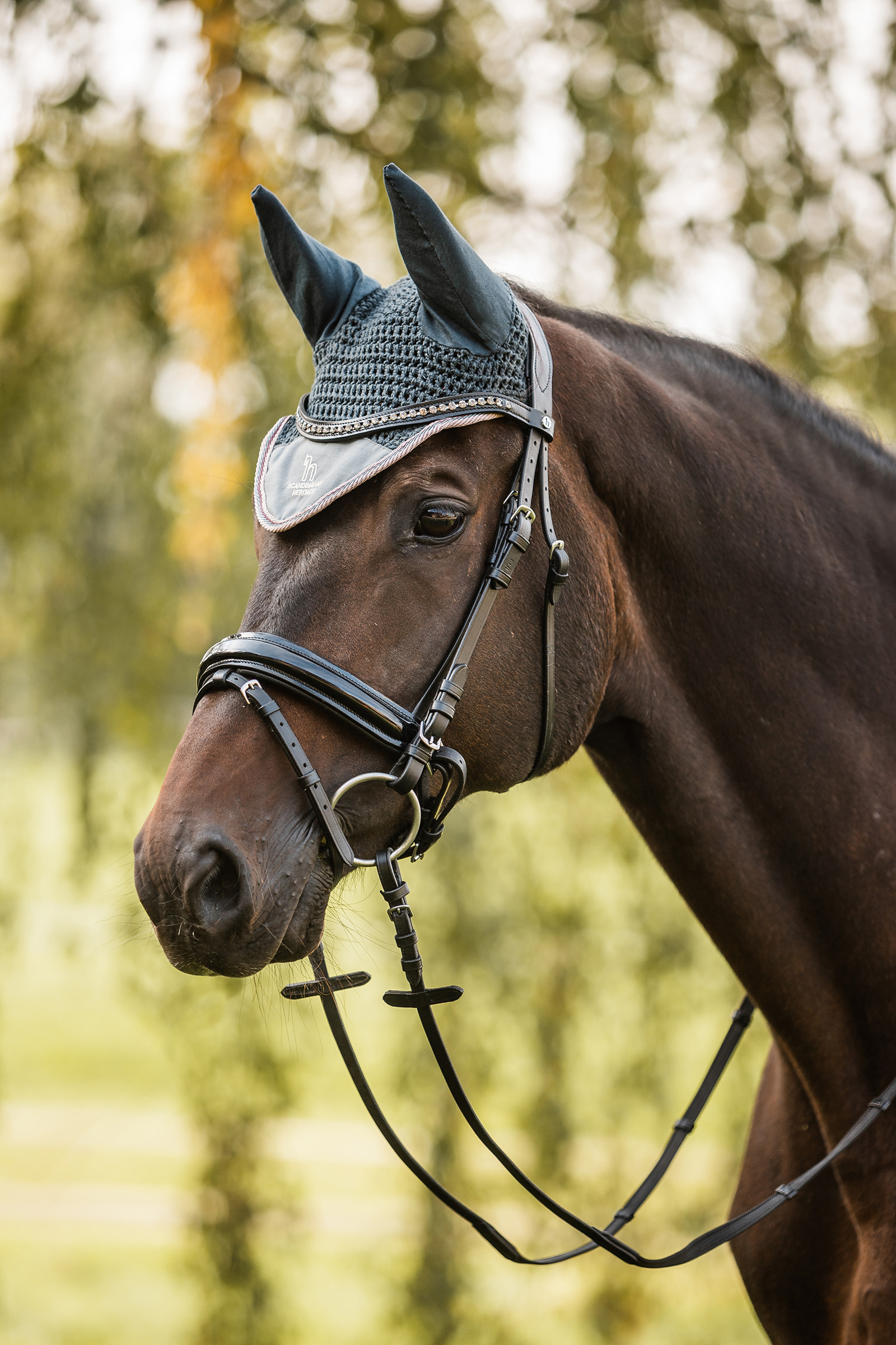 Horze Leighton Teens Collection oornetje