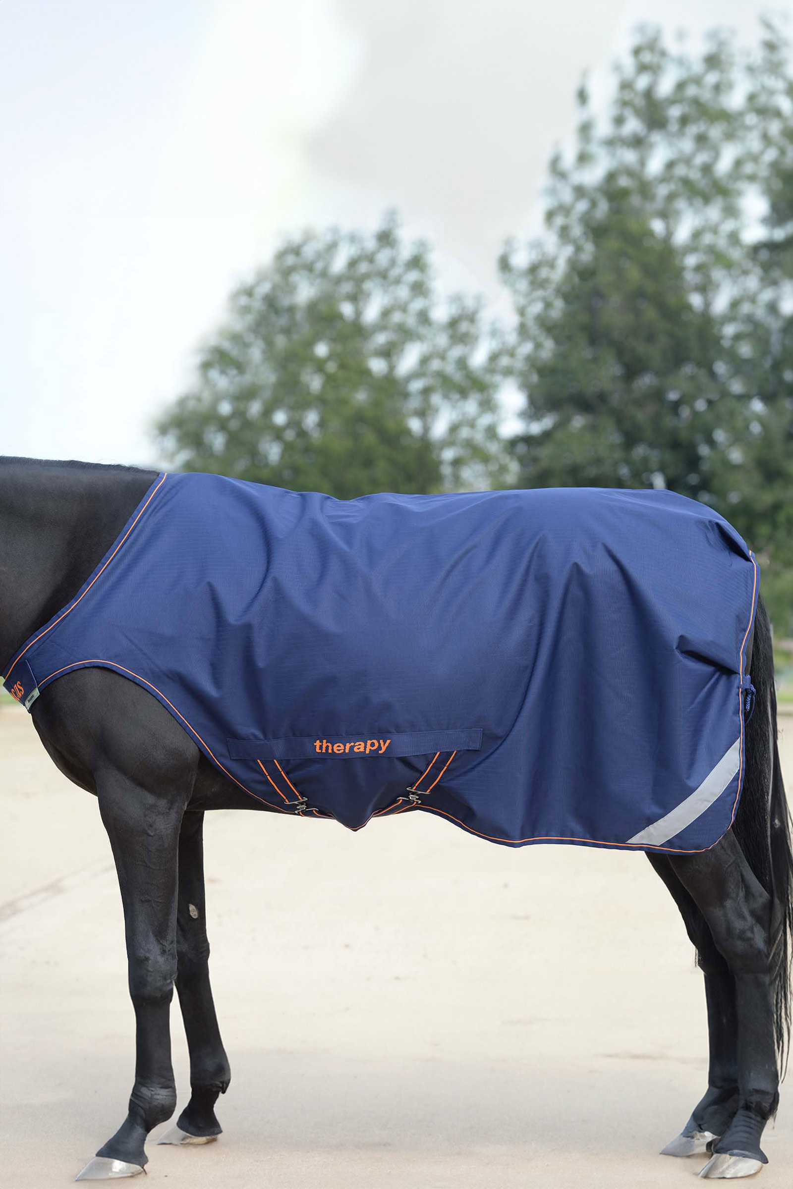 Bucas Therapy Stapmolen deken