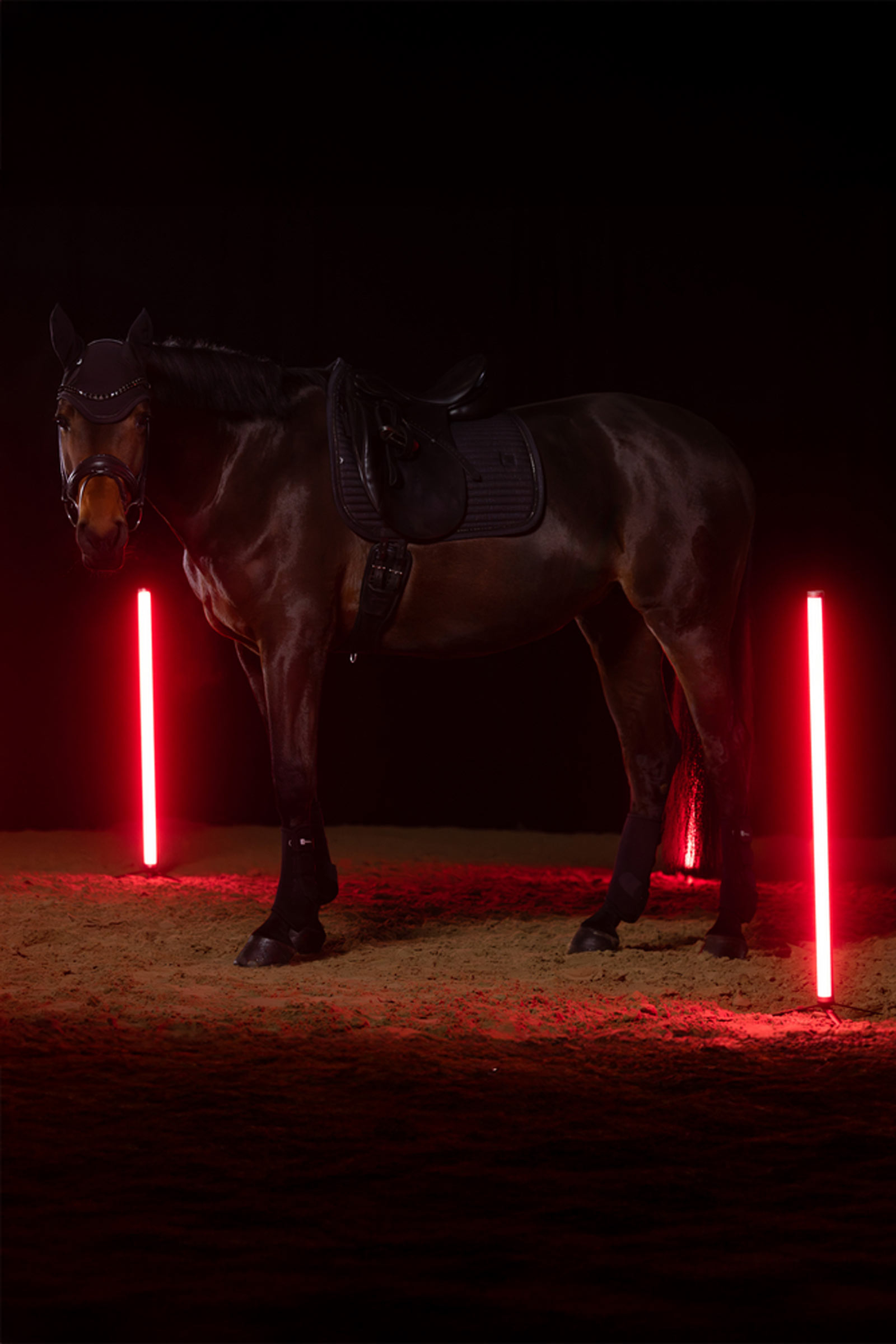 Eskadron Dynamics AW25 Sparkle Crystal dressuurzadeldek