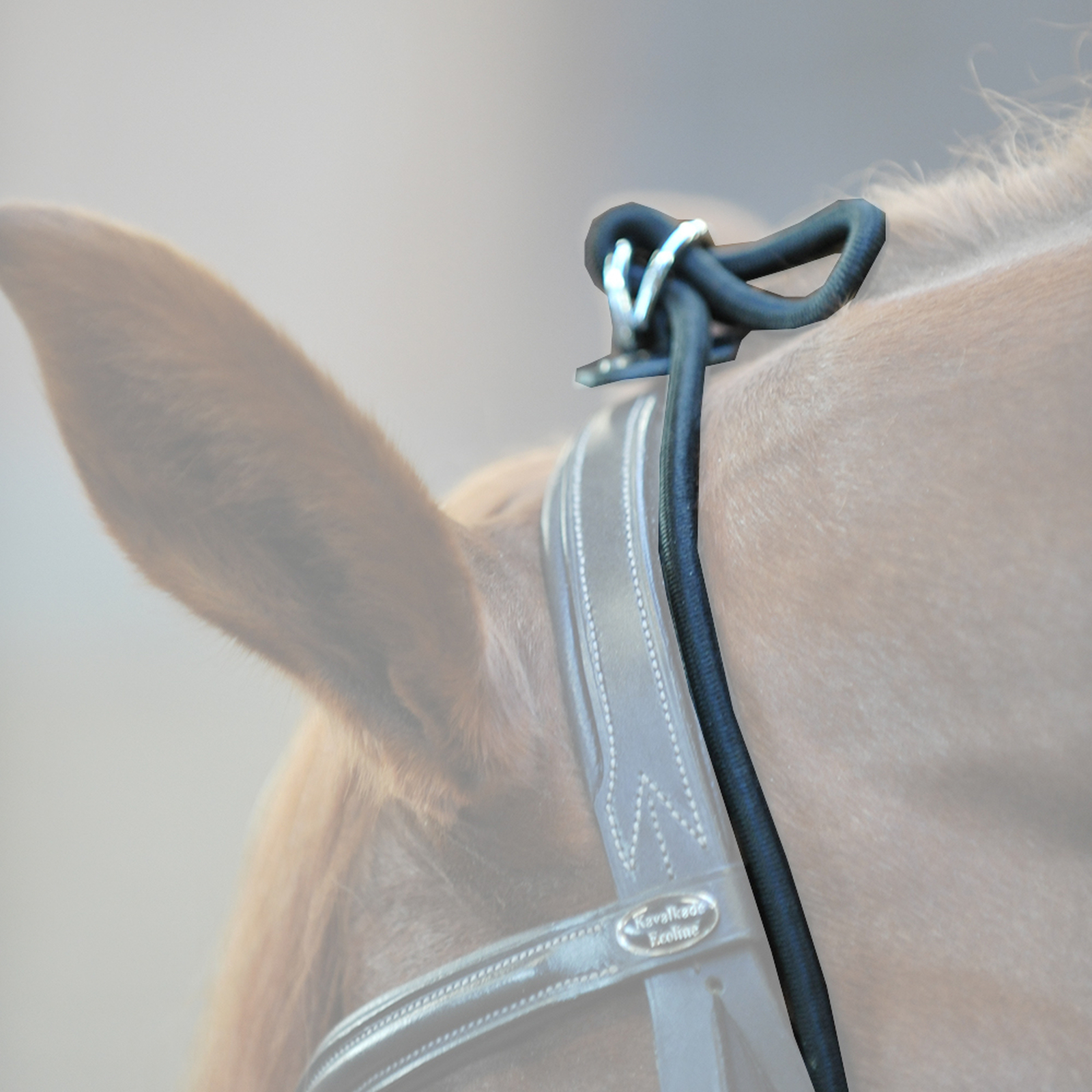 Kavalkade Halsverlenger, elastisch