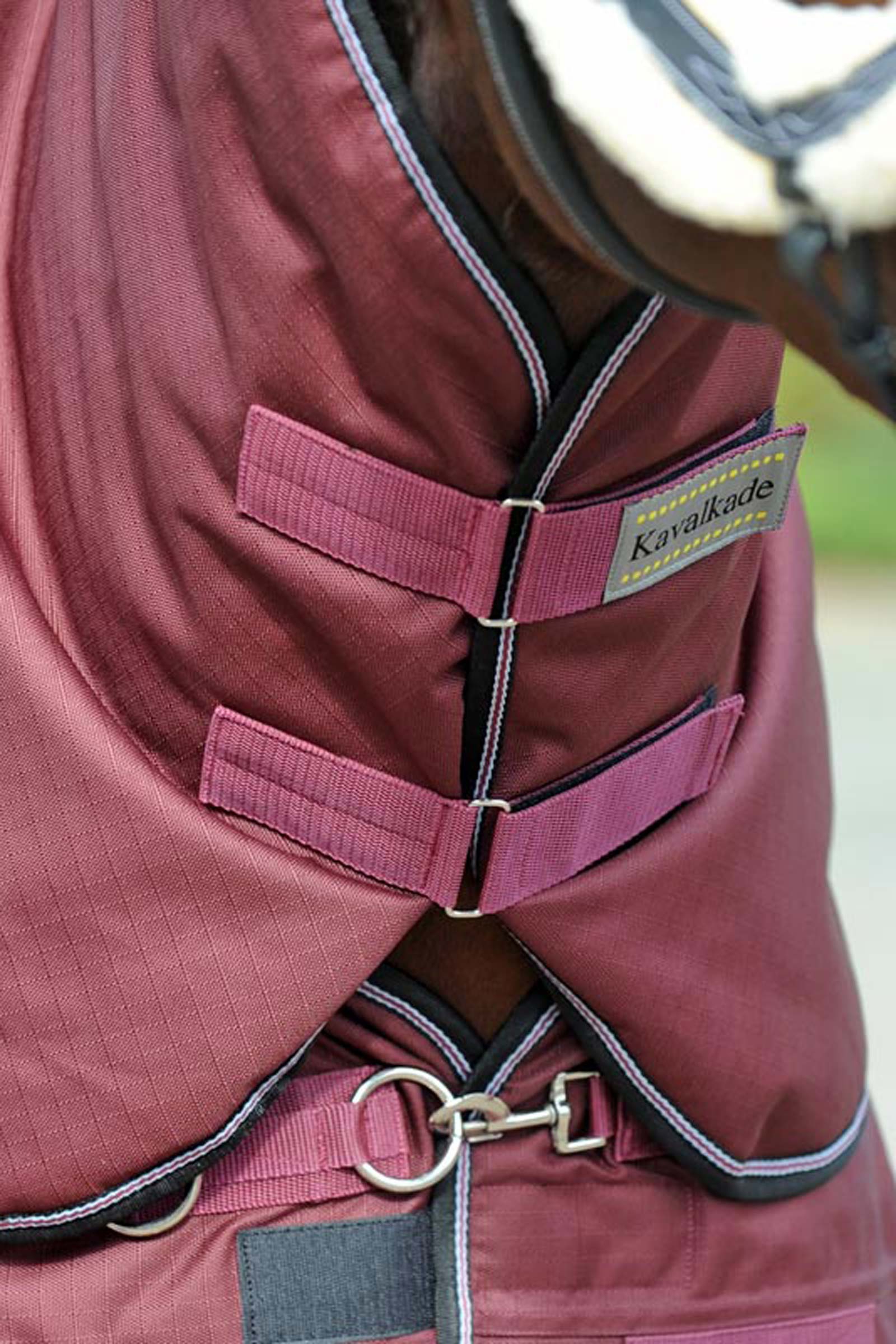 Kavalkade Hals voor Alaska IV, 100 g