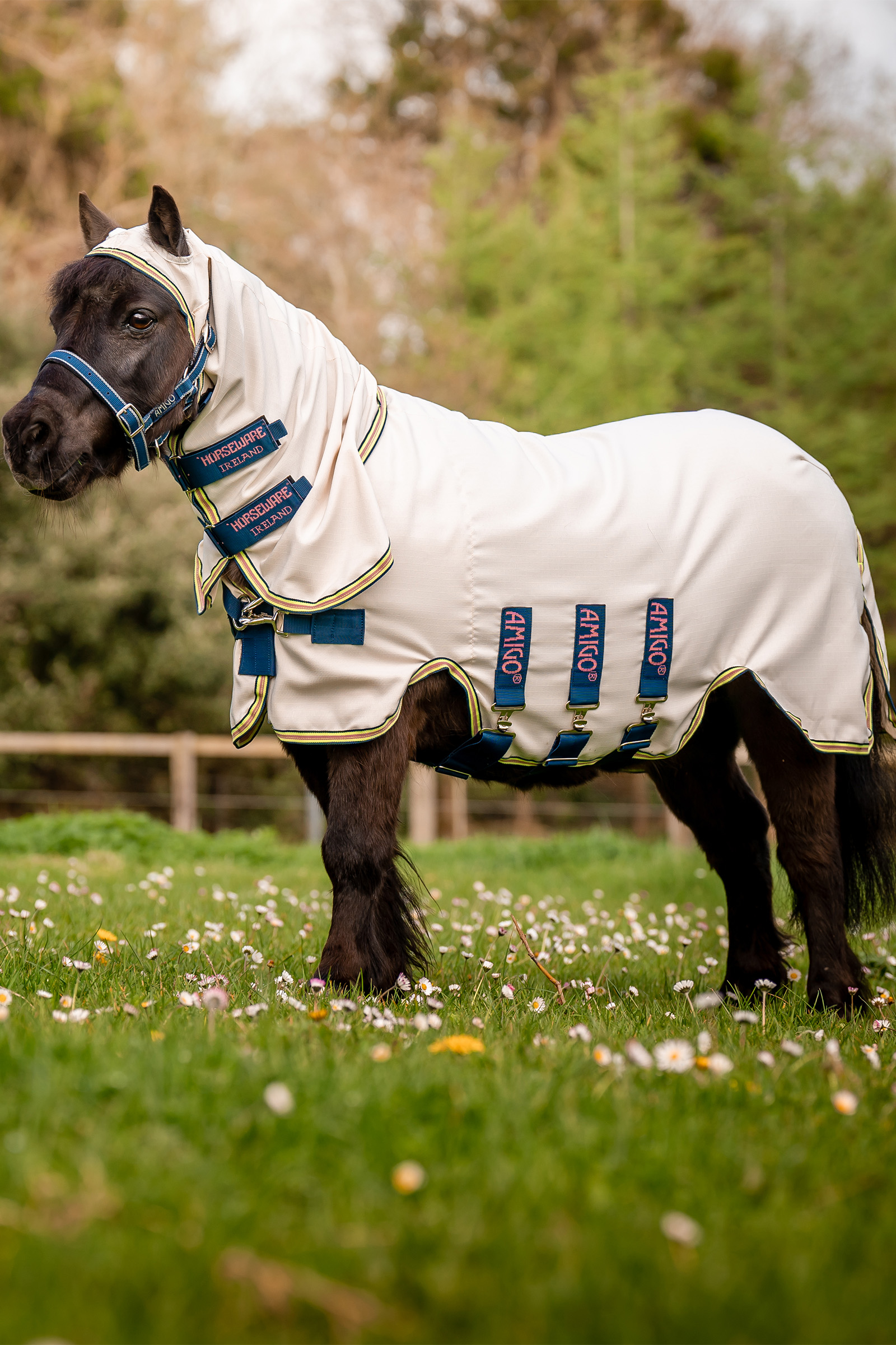 Horseware Amigo Ripstop Hoody Petite, vliegendeken