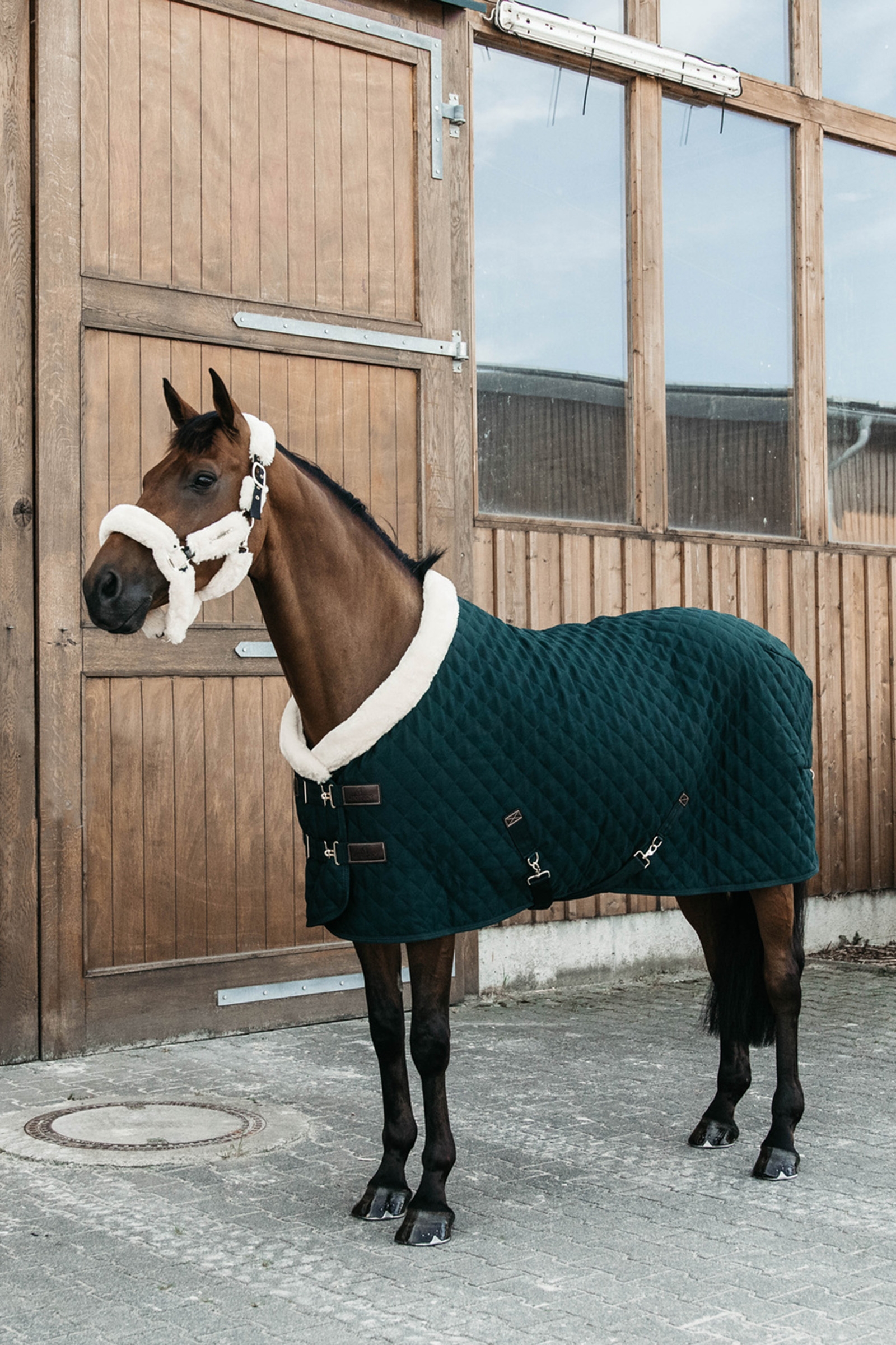 Dark Green Kentucky Horsewear Showdeken 160g