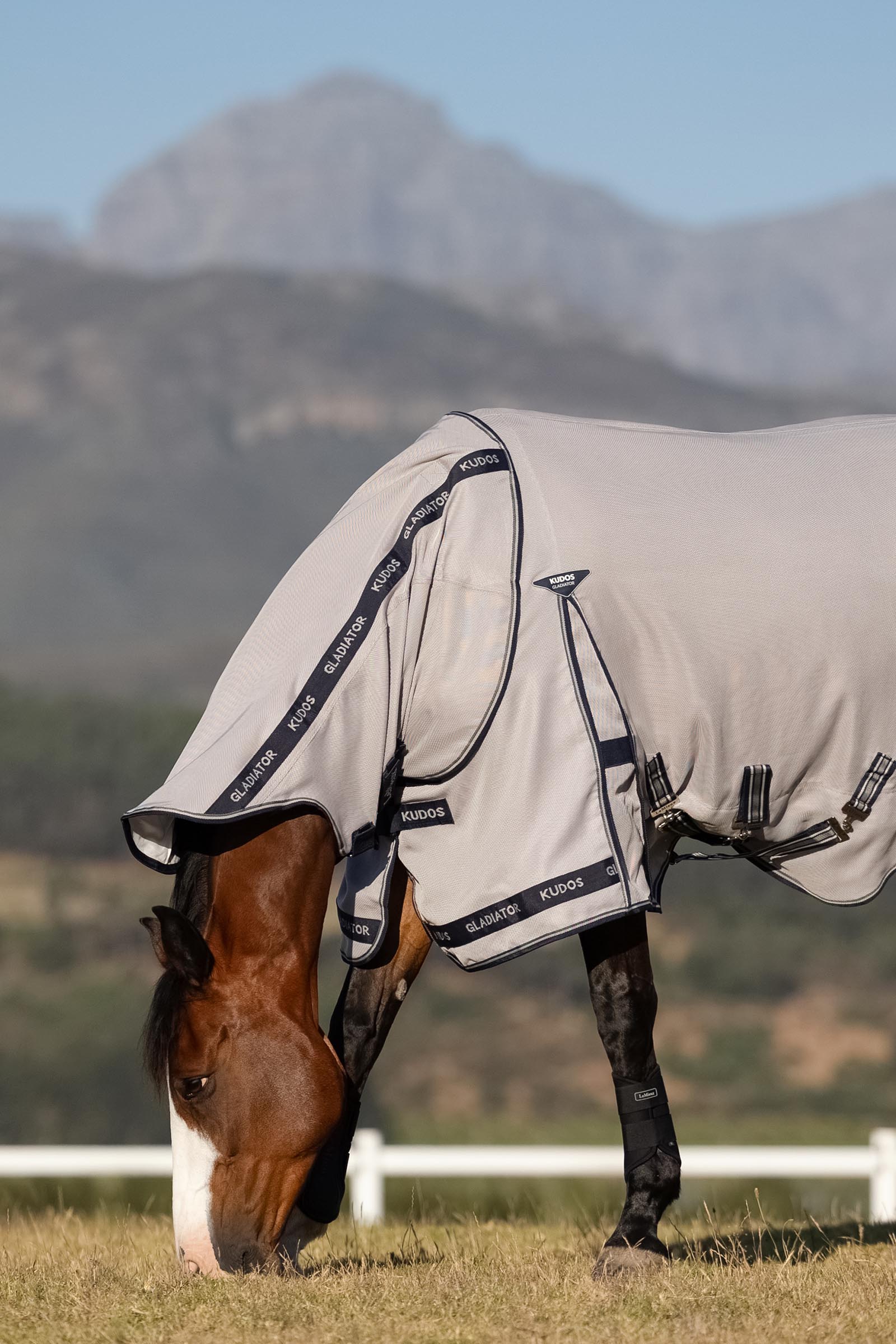 LeMieux Kudos Gladiator vliegendeken