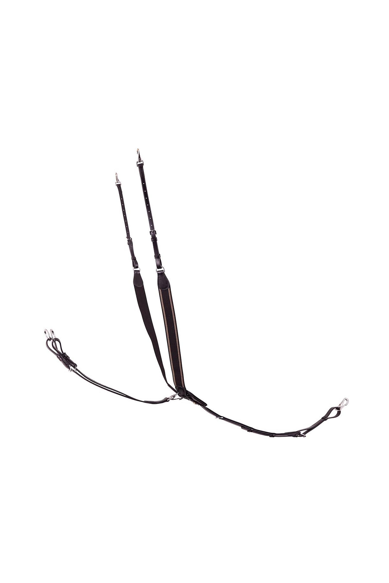 BR Taunton elastisch borsttuig met afneembare martingaal