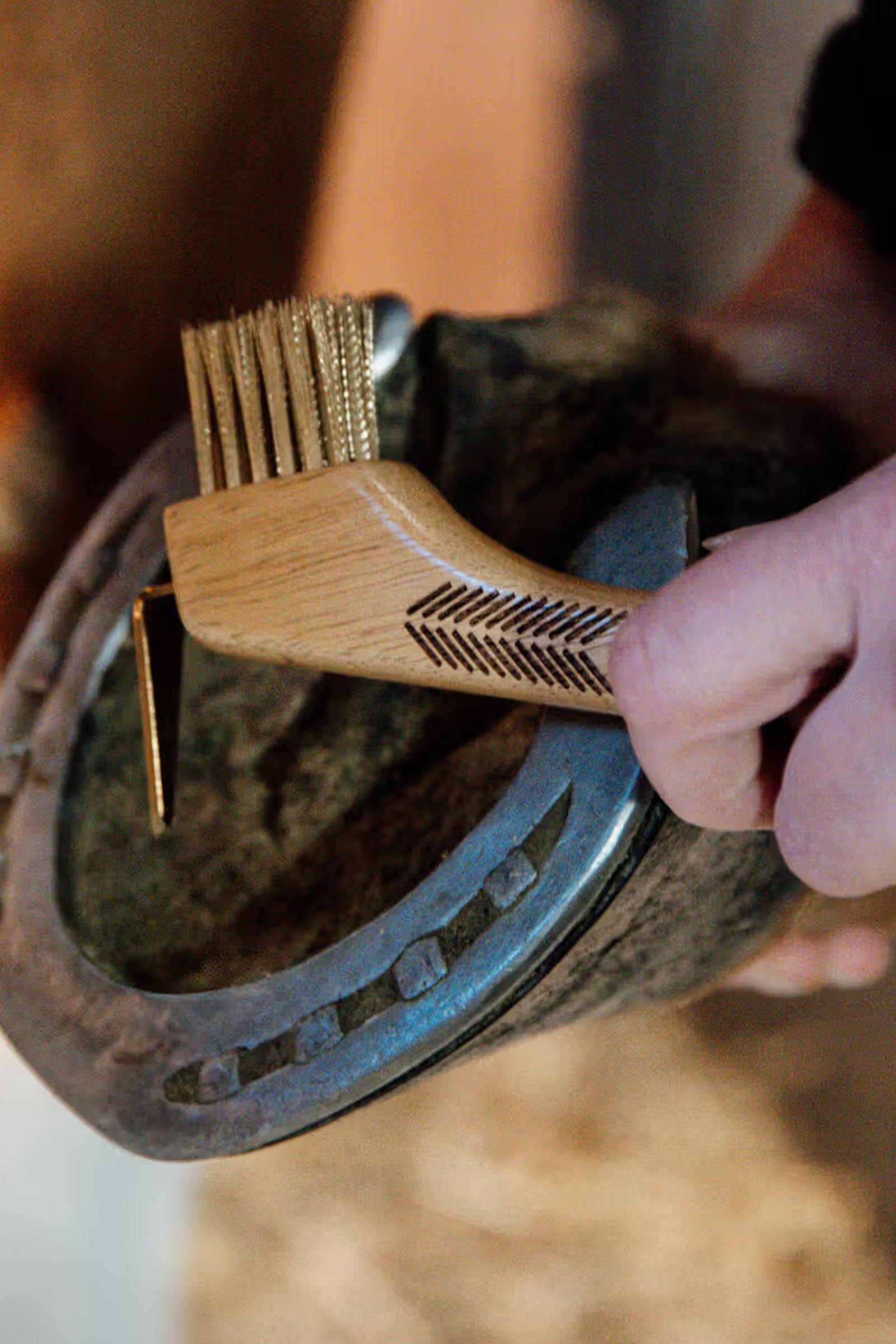 Grooming Deluxe hoevenkrabber met metalen borstel  