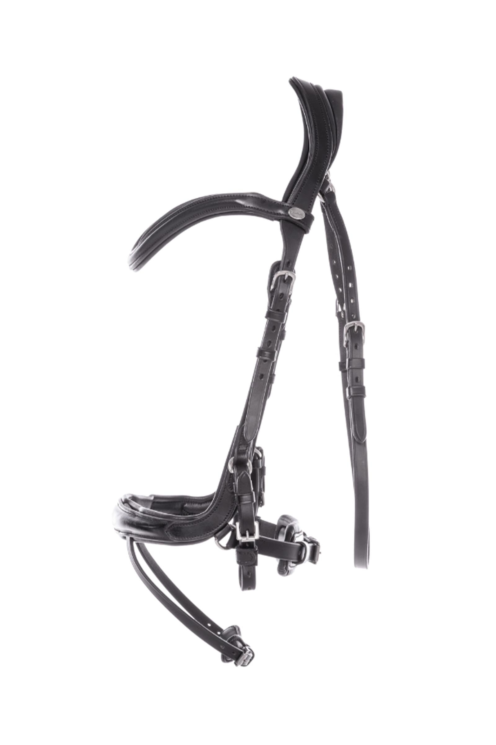 Kavalkade Cajus hoofdstel Engels gecombineerd anatomisch