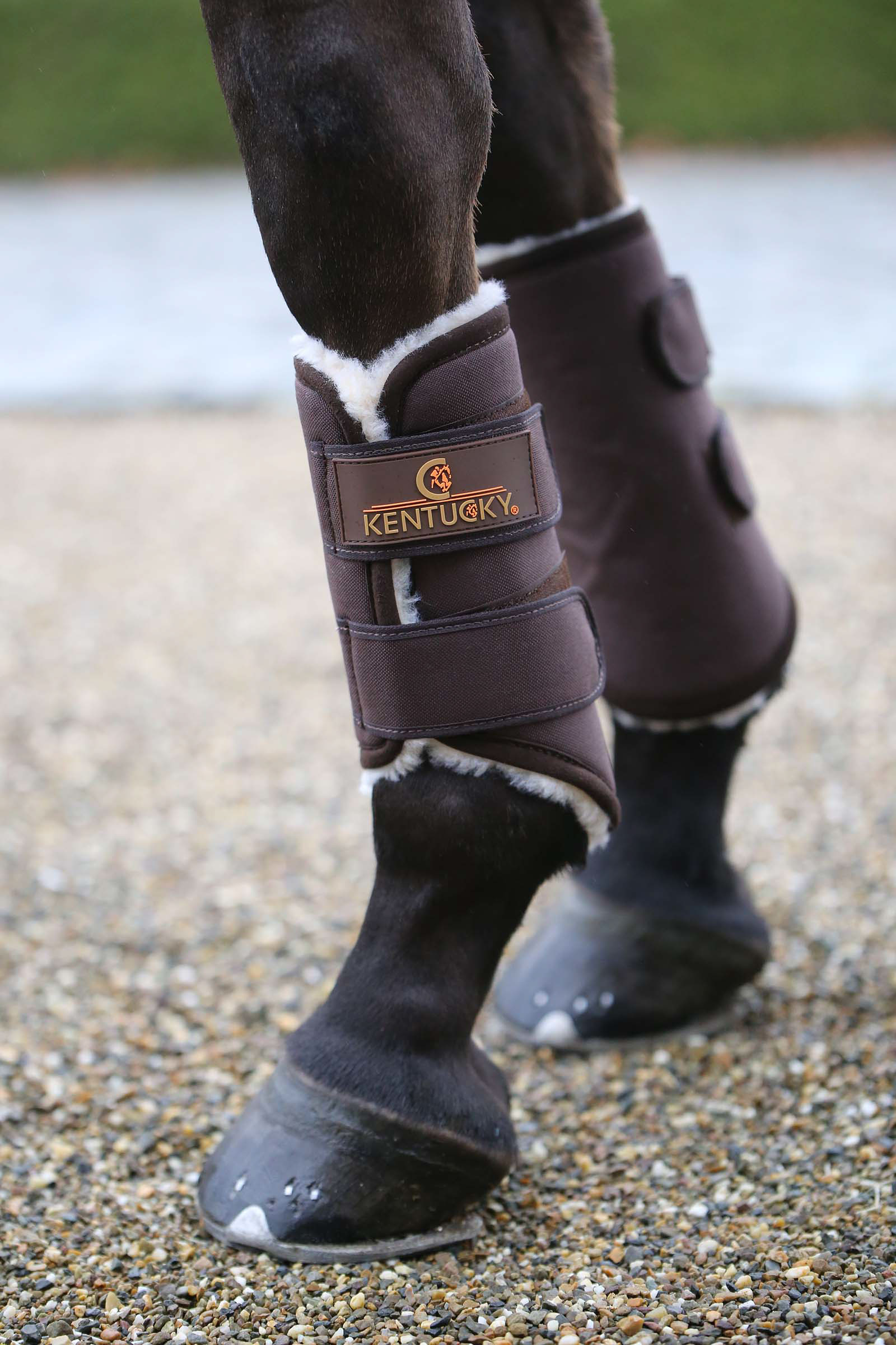 Brown Kentucky Horsewear Solimbra pijpkousen, achter
