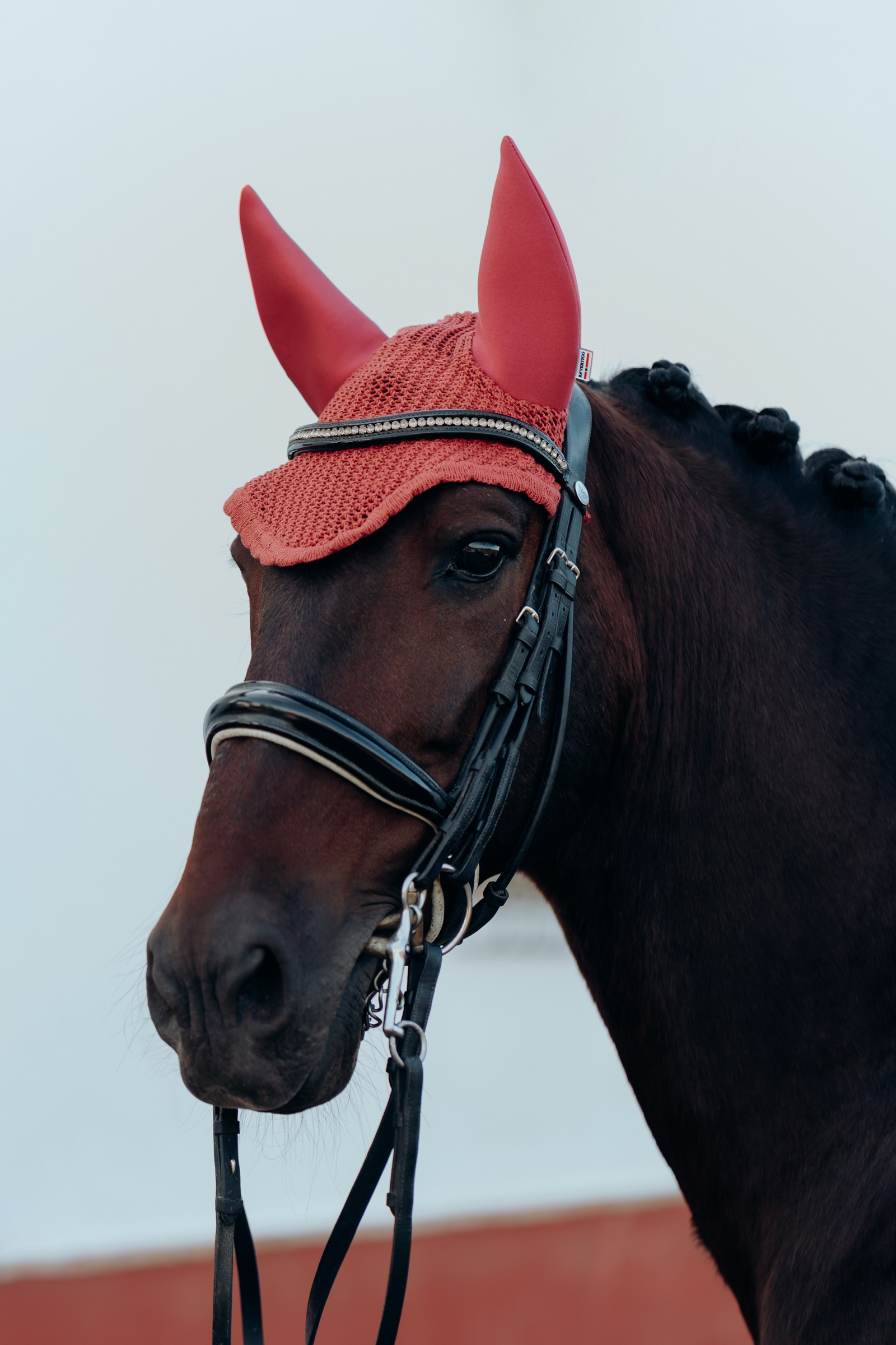 B Vertigo Laurel Oornetje