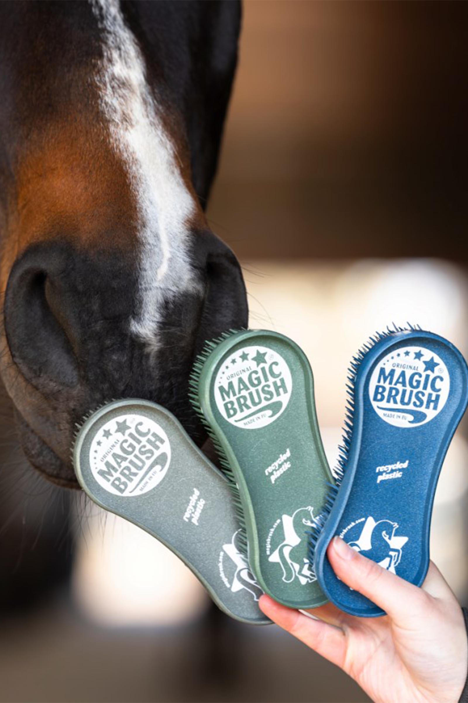 MagicBrush CornFlowers Brush Set