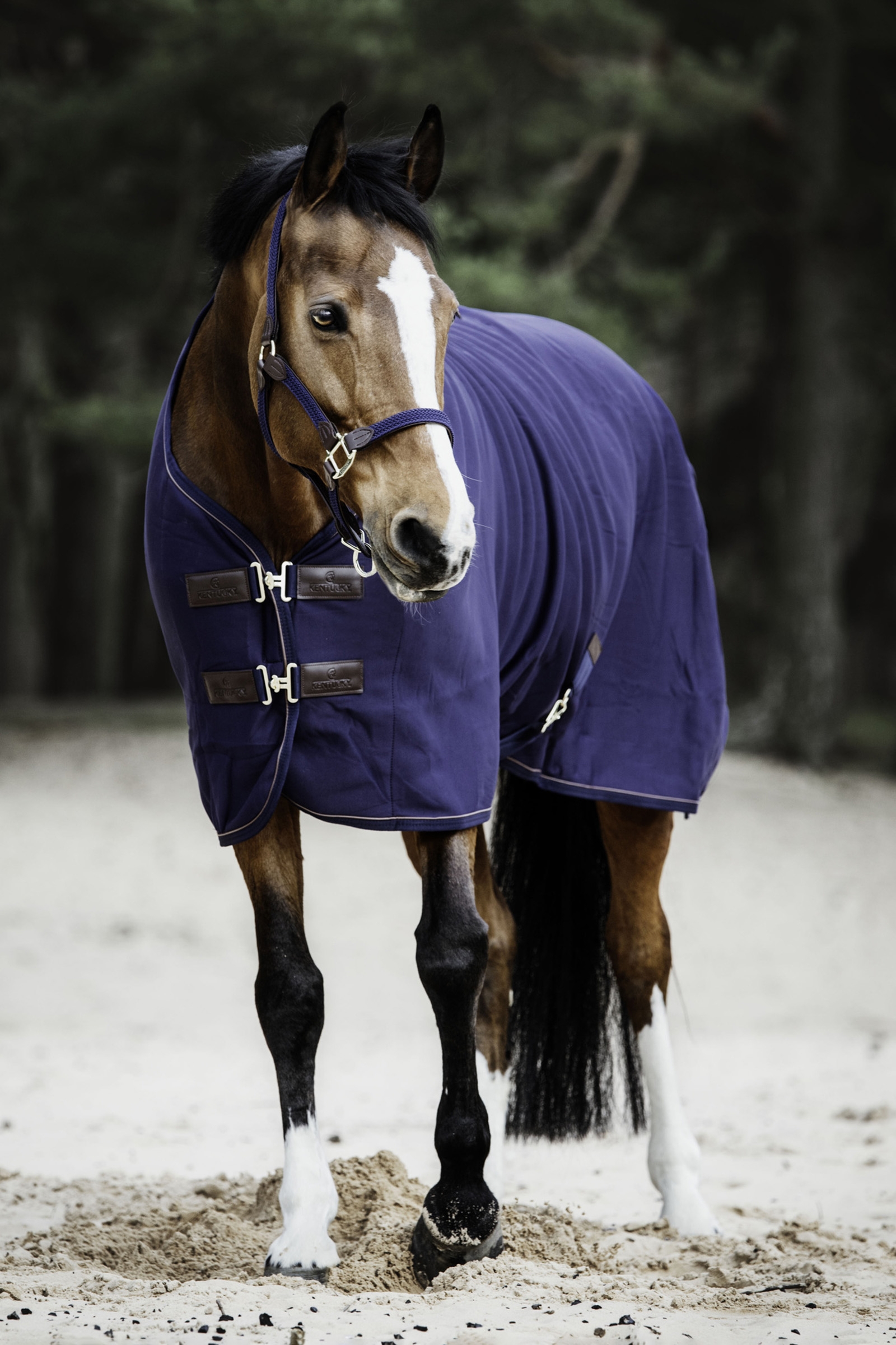 Kentucky Horsewear Zweetdeken fleece