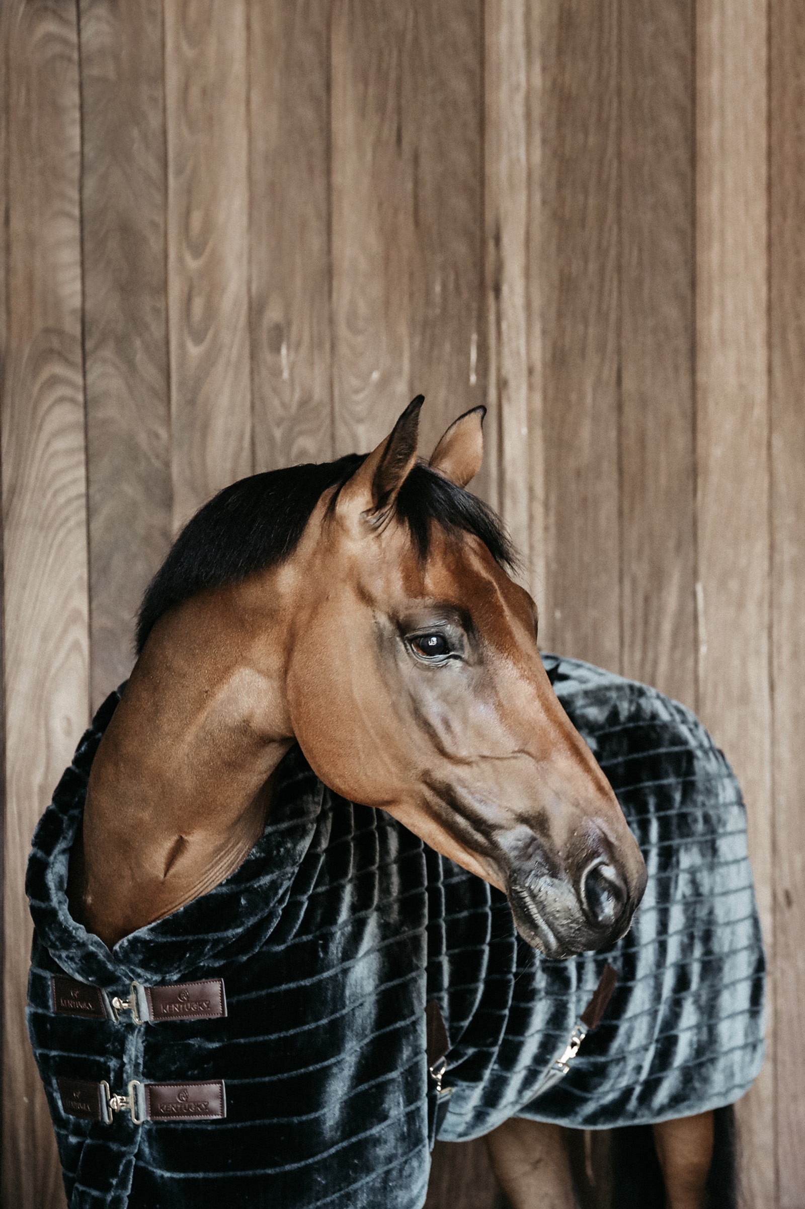 Kentucky Horsewear Fake Fur Rug Staldeke