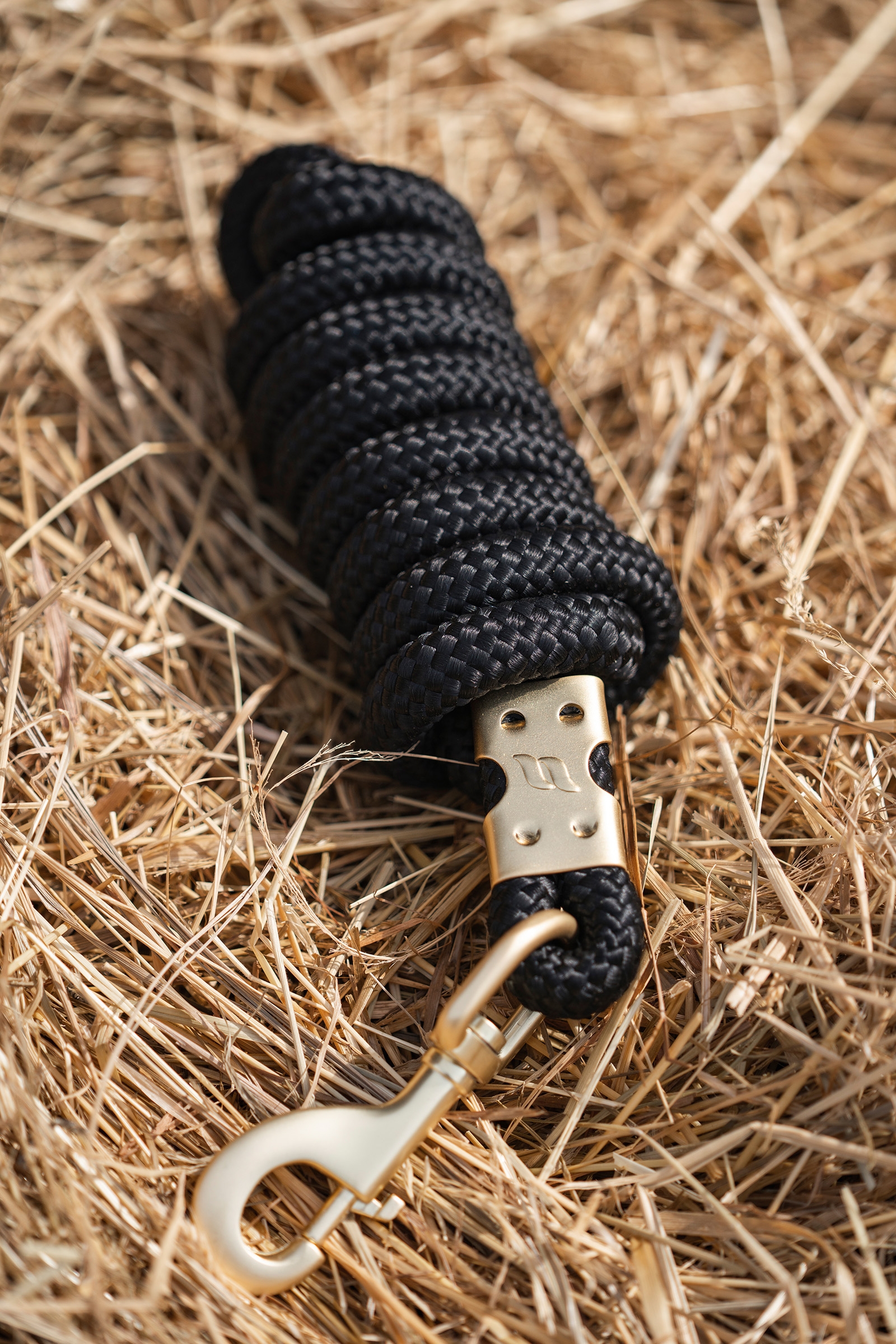 Back on Track Ace Halstertouw