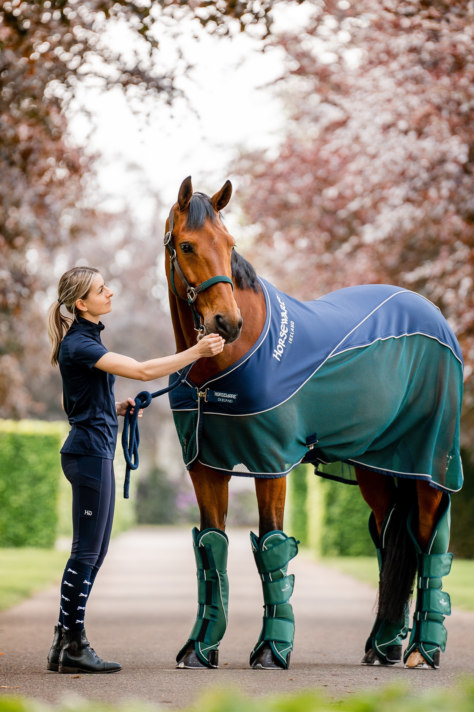 Horseware Signature Transport Peesbeschermers