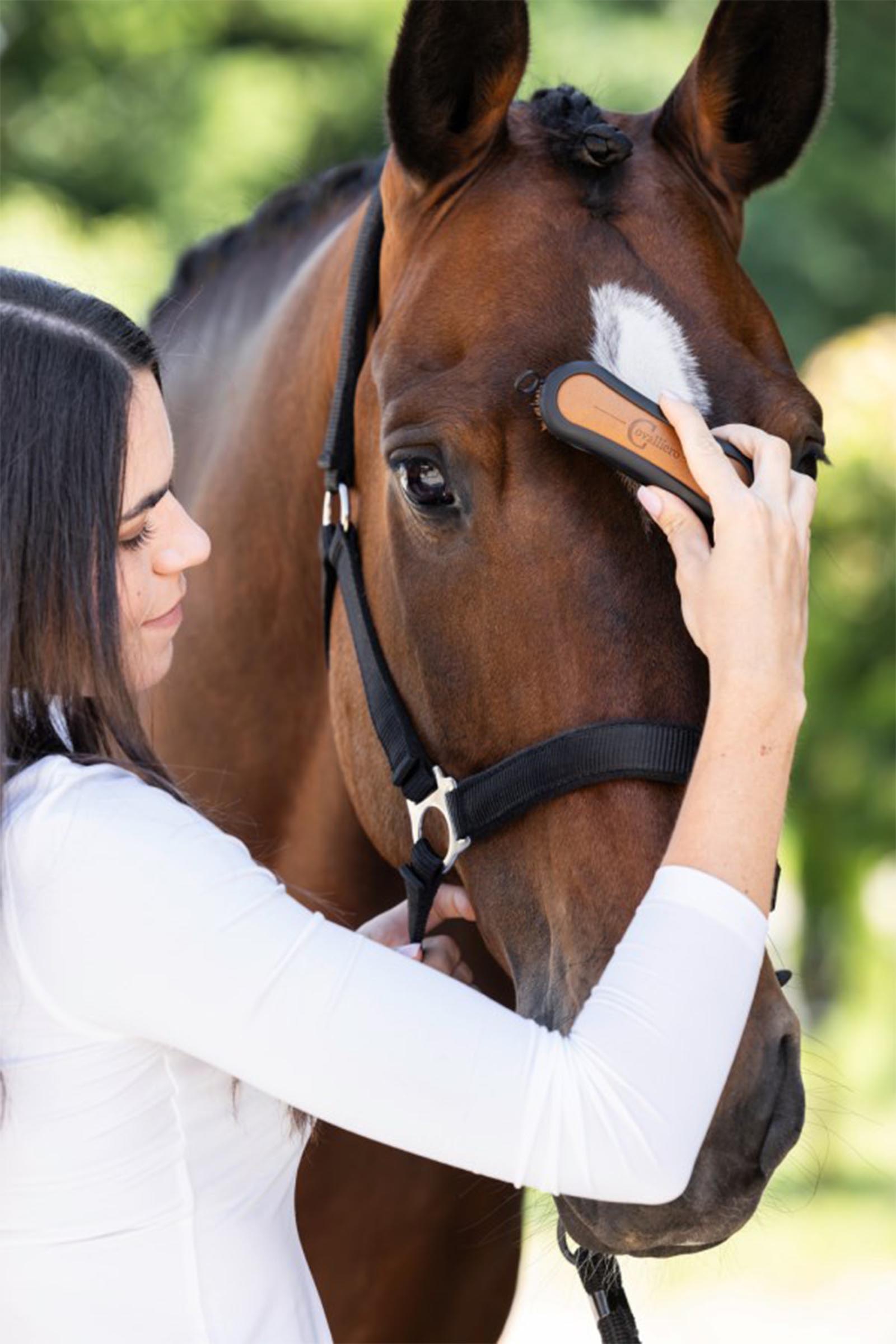 Covalliero Deluxe Mini Brush