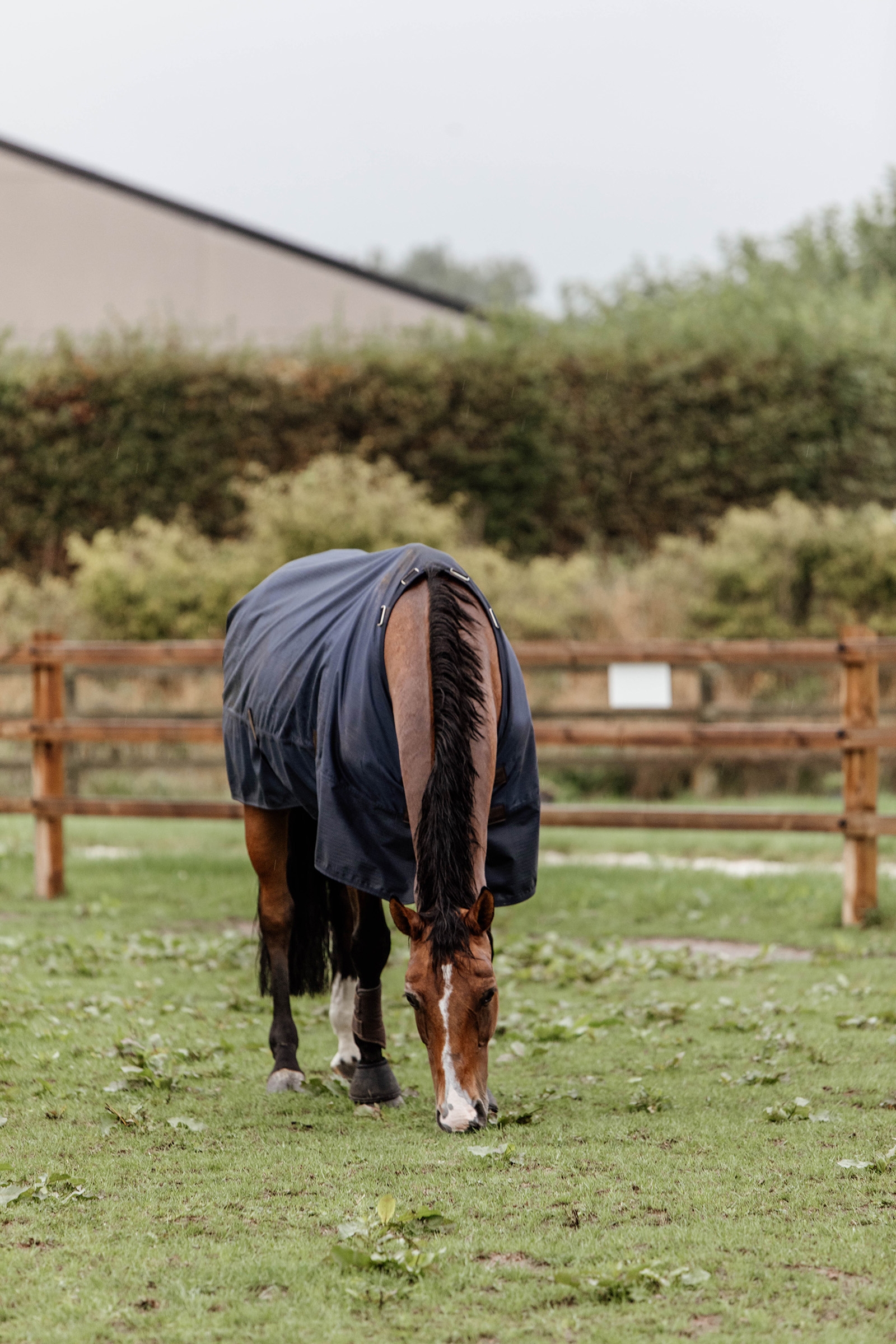 Kentucky Horsewear Winterdeken All Weather 300gr