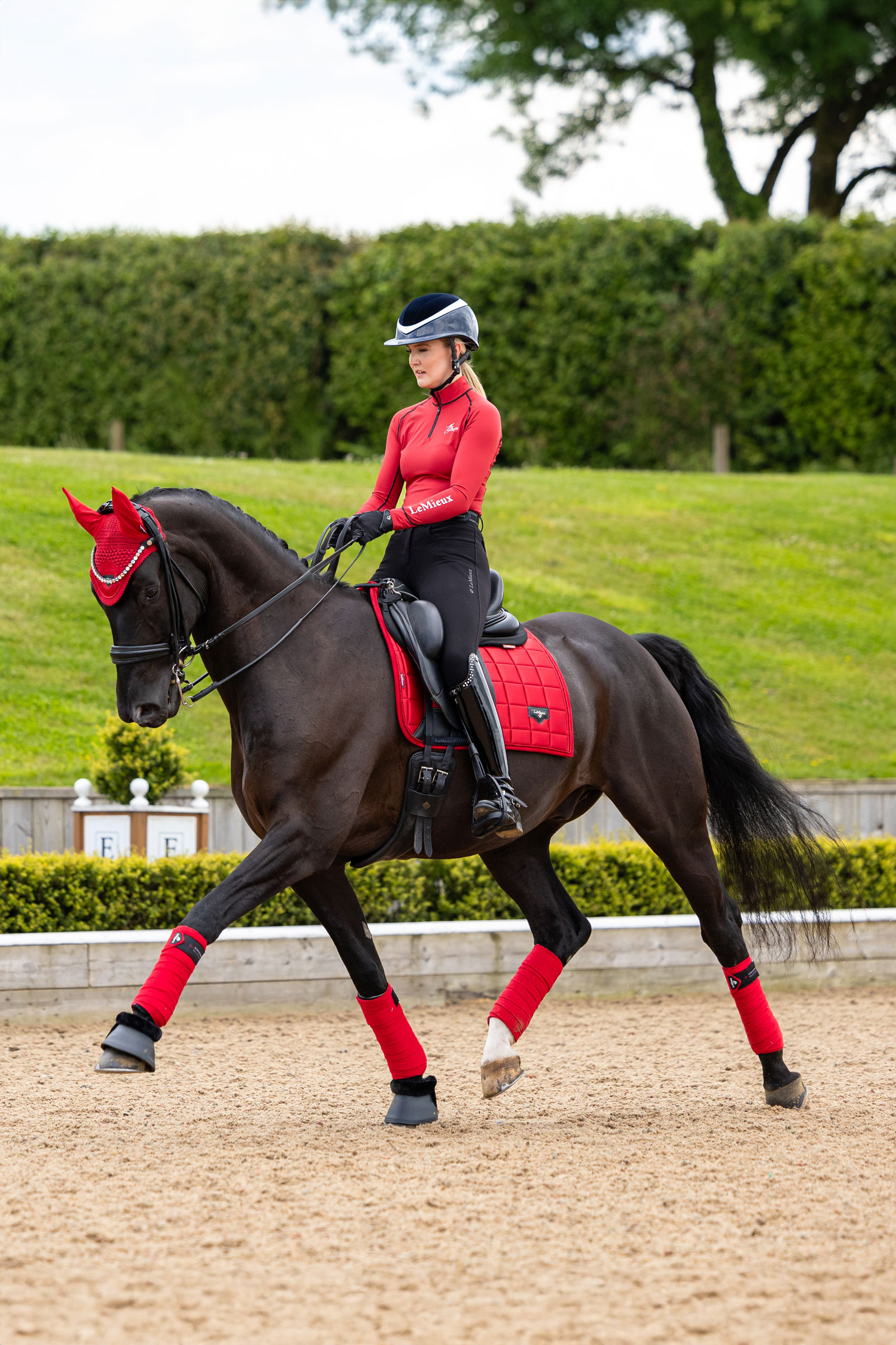 LeMieux Loire Classic Dressuurzadeldek