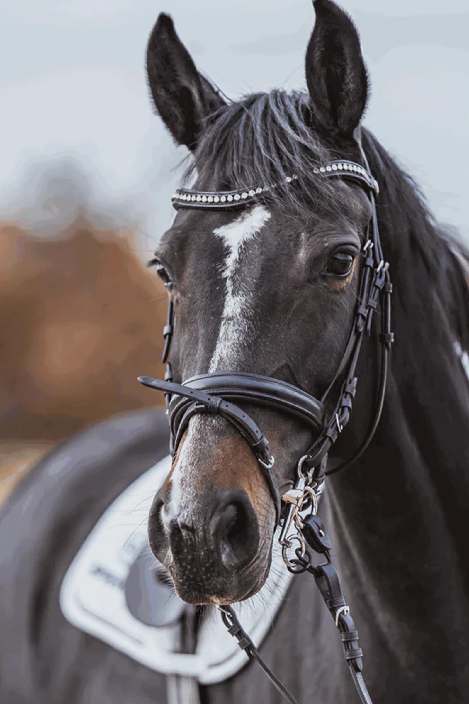 Sprenger Novocontact pelham, enkel gebroken, 16 mm, Sensogan