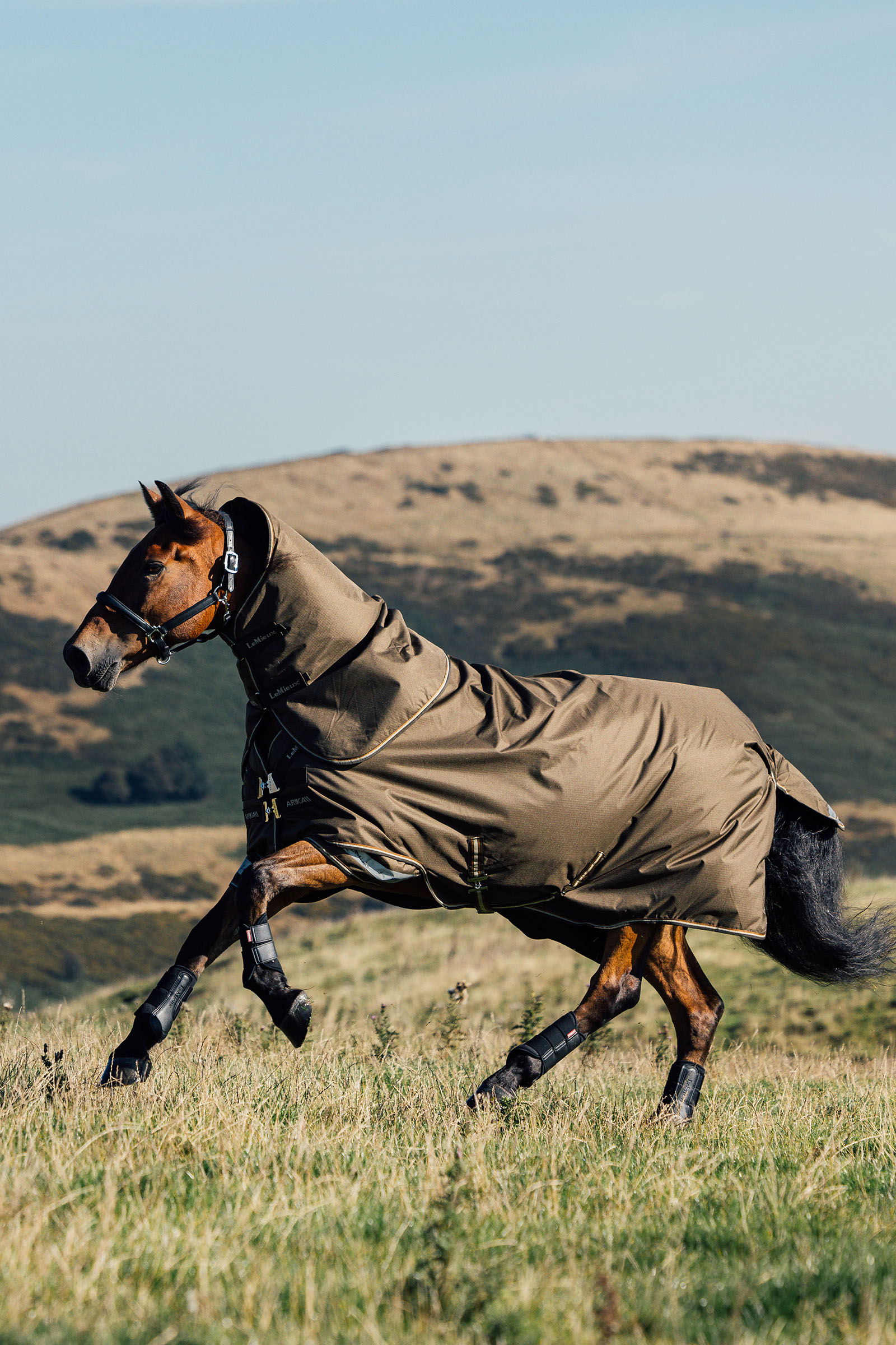 LeMieux Arika ripstop regendeken met afneembare hals 50 g