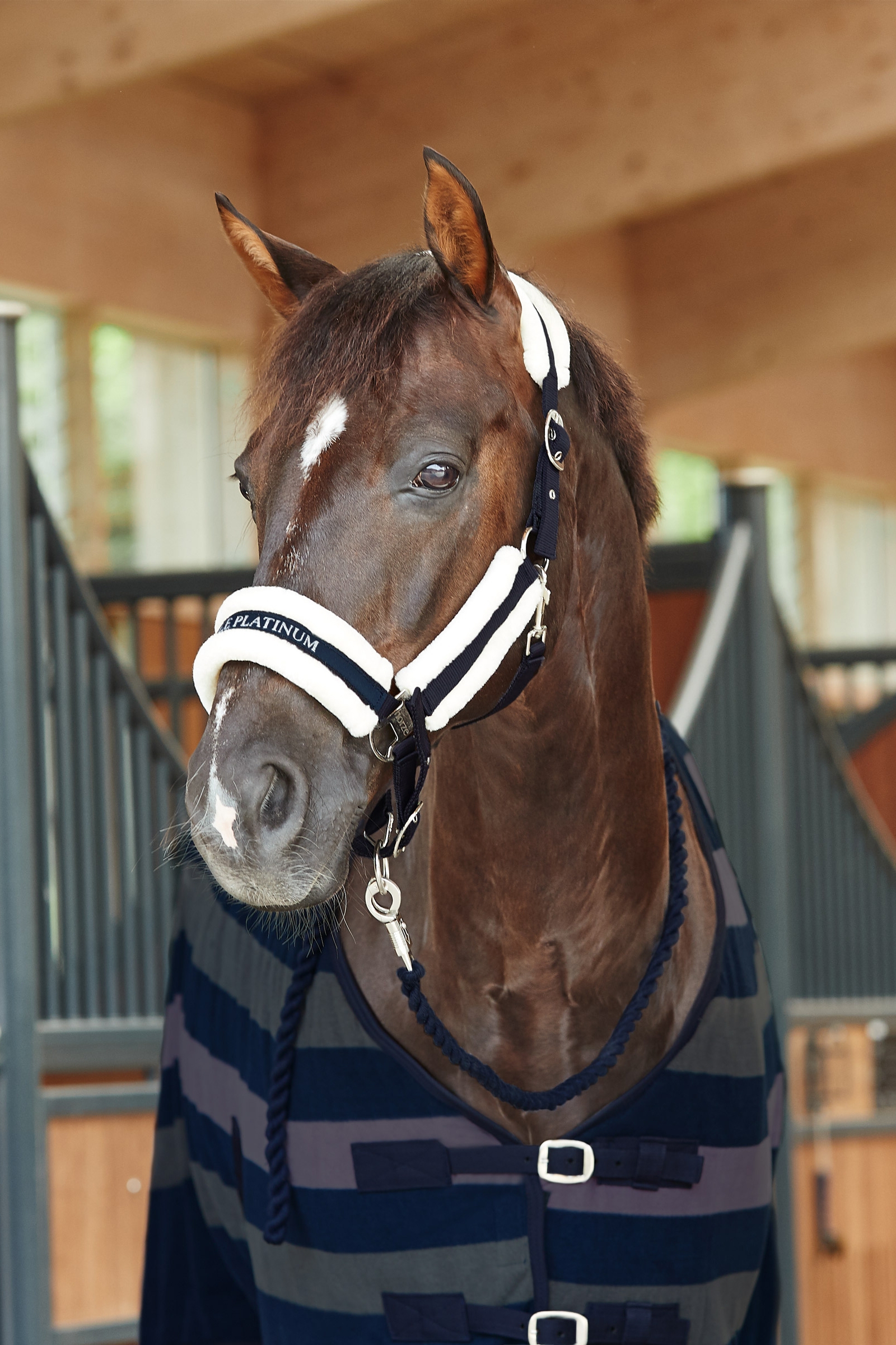 Horze Stanford Halster met imitatiebont voering