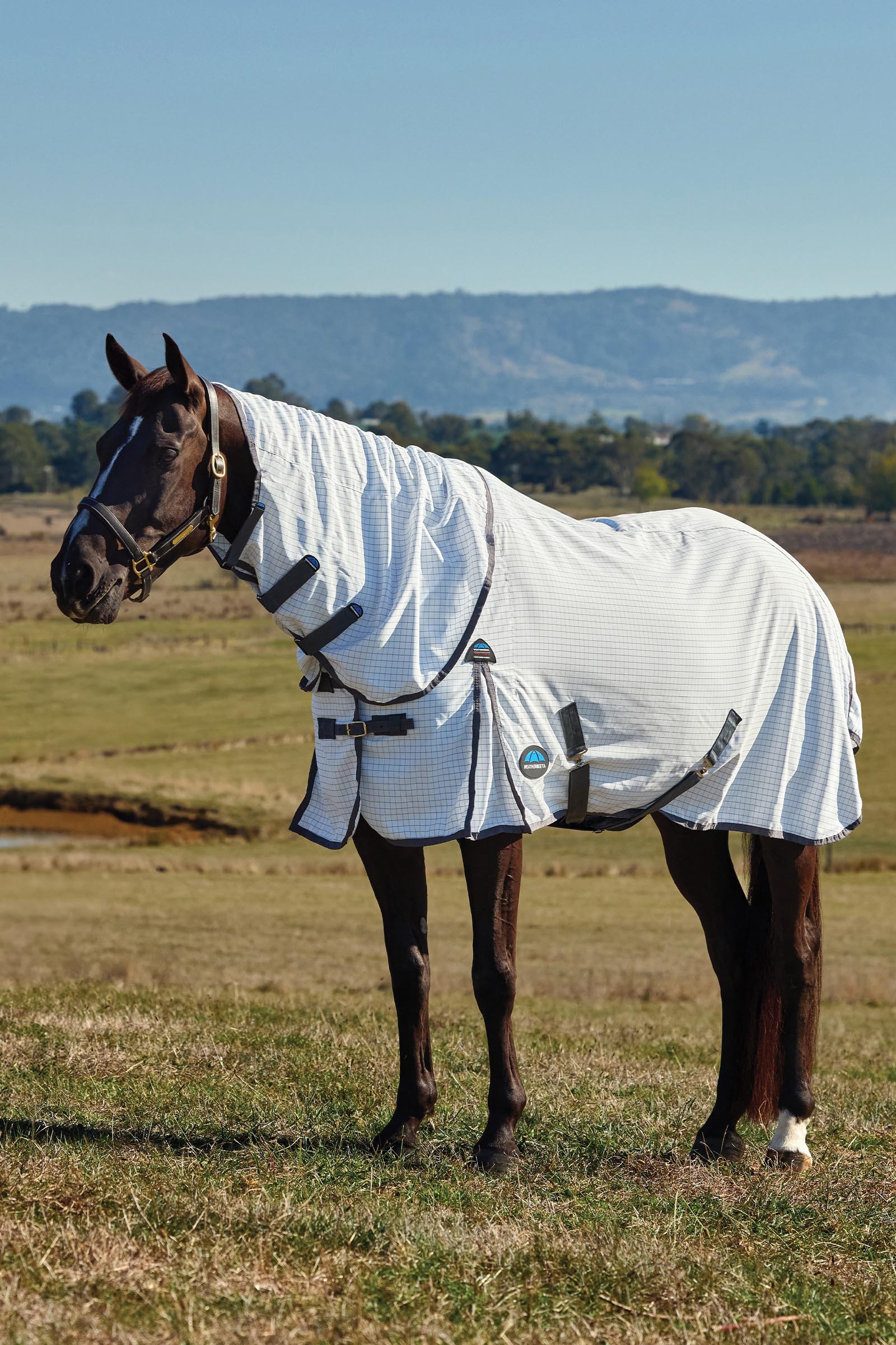 Weatherbeeta Hybrid deken combo met vaste hals, 0 g  