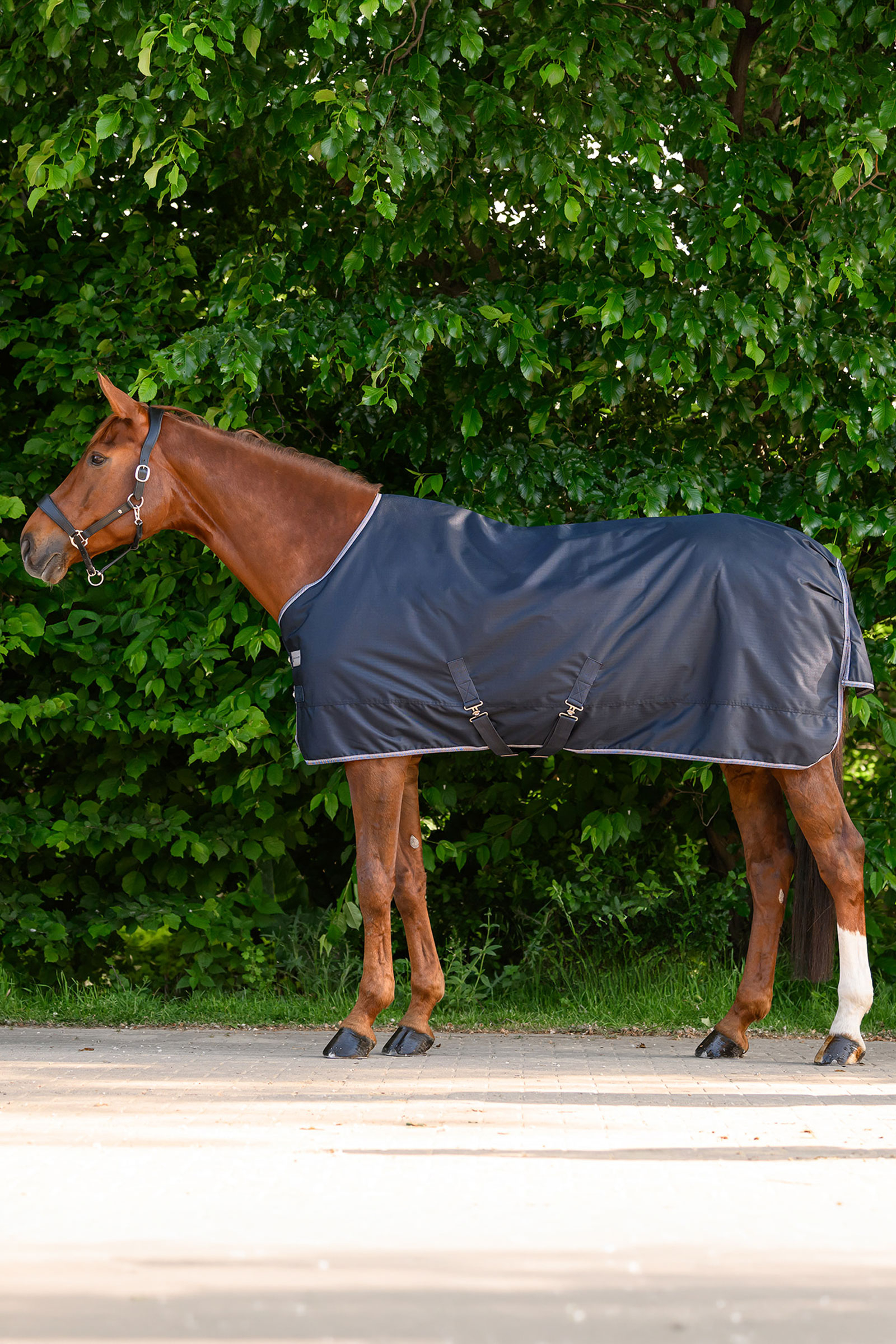 Waldhausen ECONOMIC outdoordeken, 100g